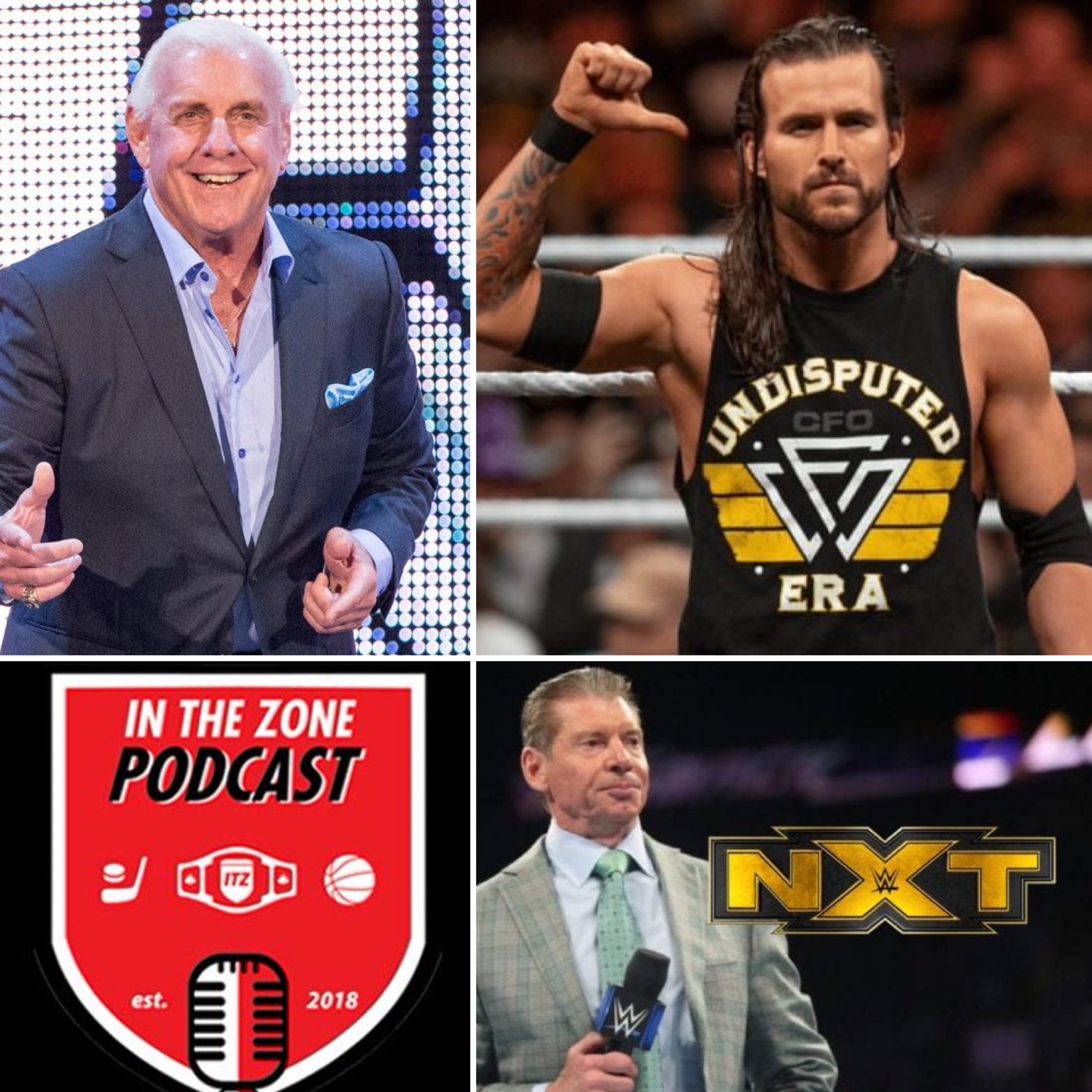Episode 143 - Adam Cole Staying with WWE?, NXT Rebranding, Ric Flair Released episode artwork