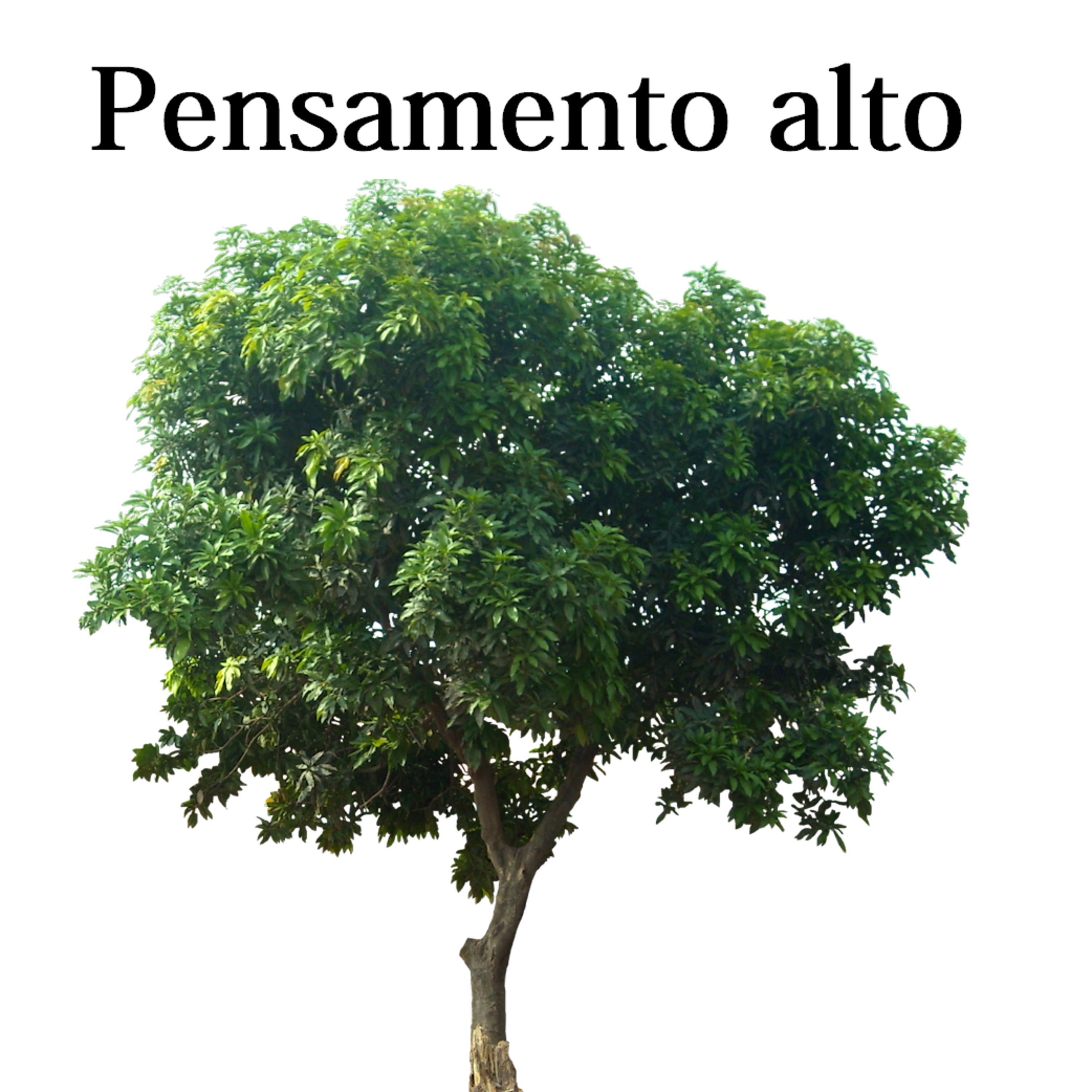 Pensamento Alto