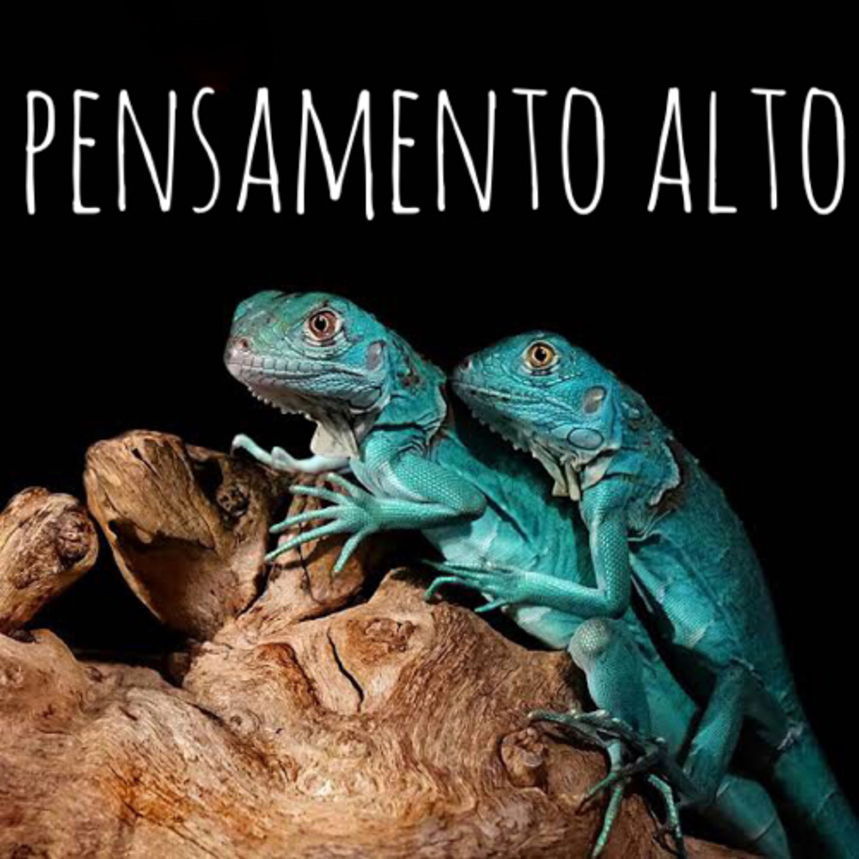 Pensamento Alto