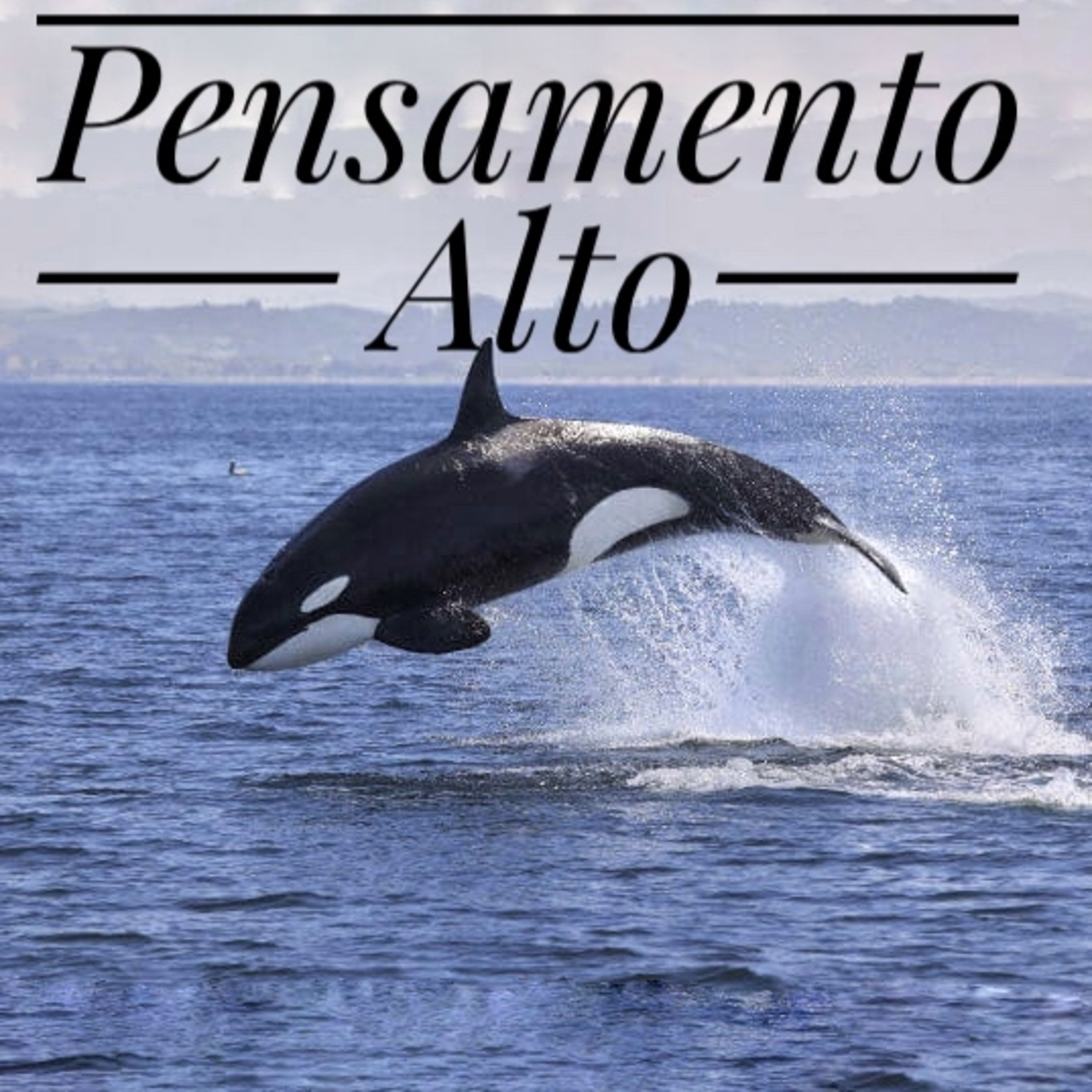 Pensamento Alto