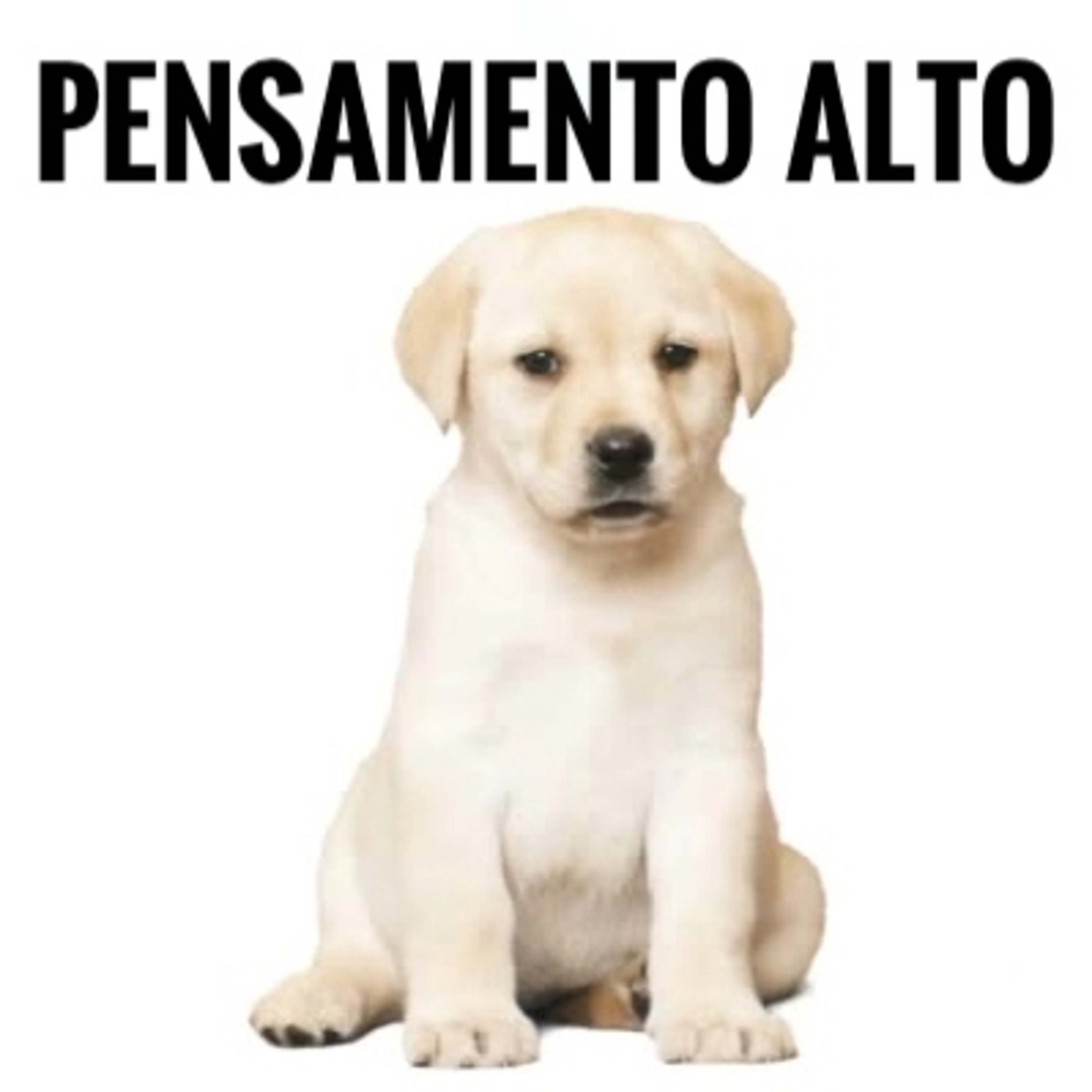 Pensamento Alto