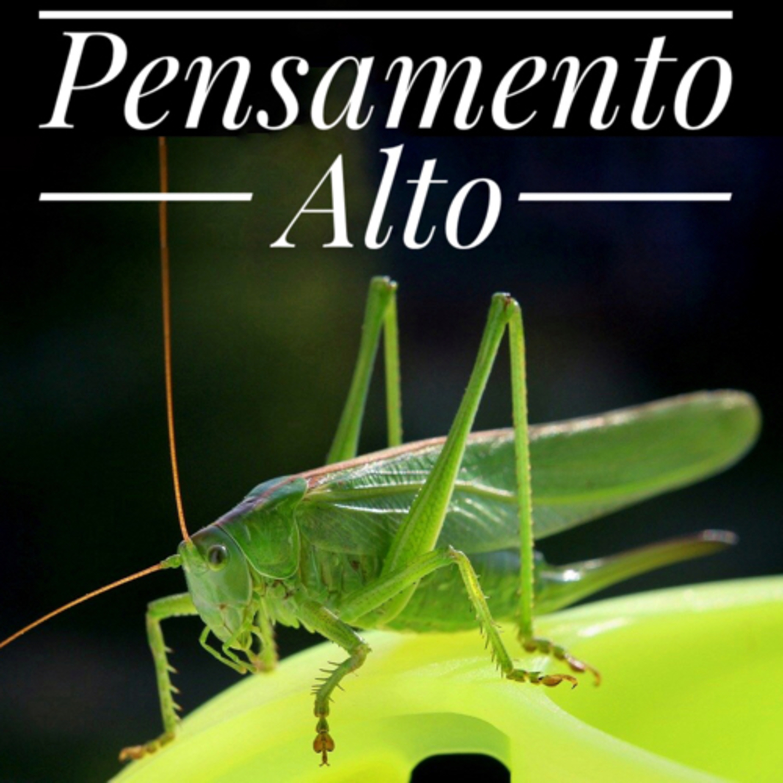 Pensamento Alto