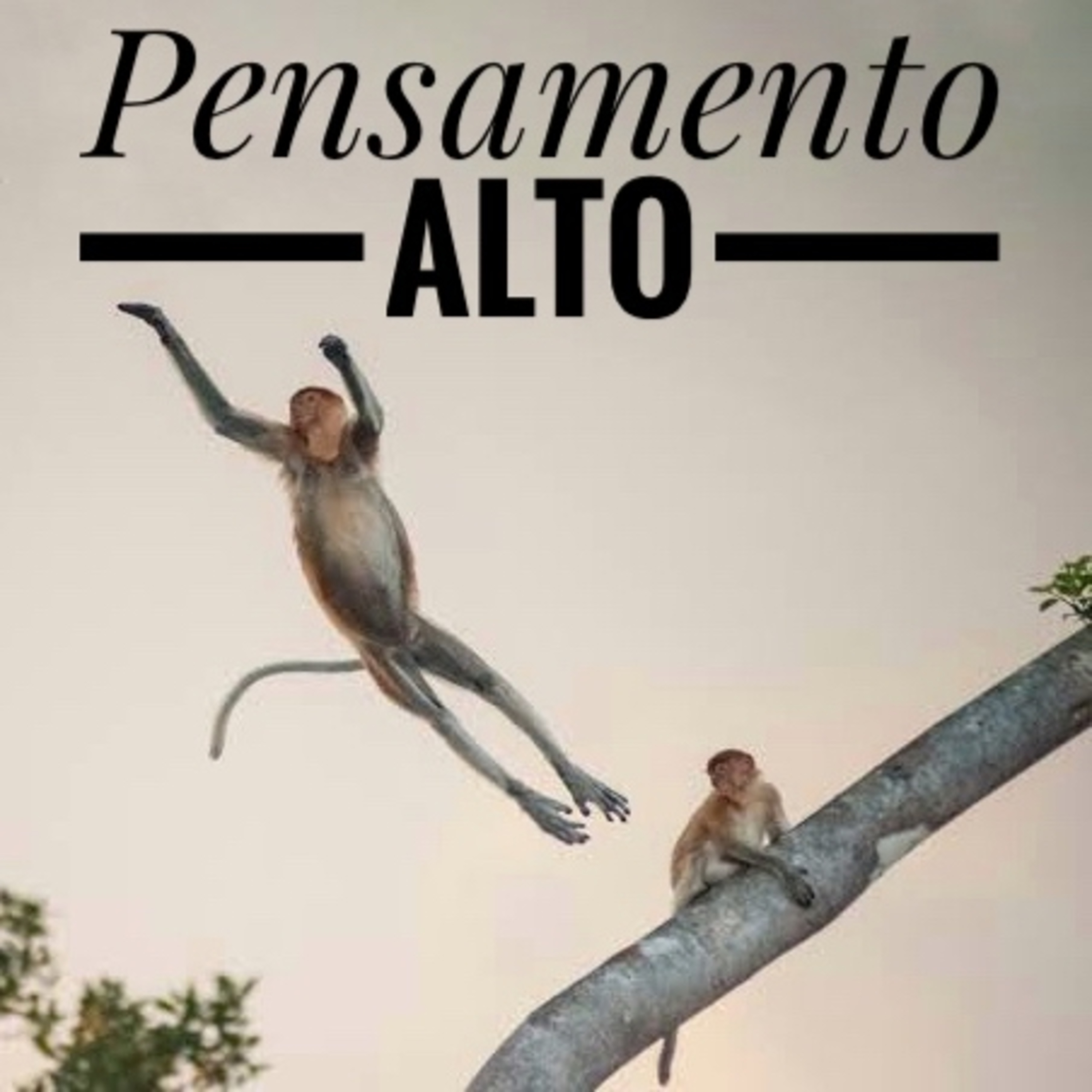 Pensamento Alto