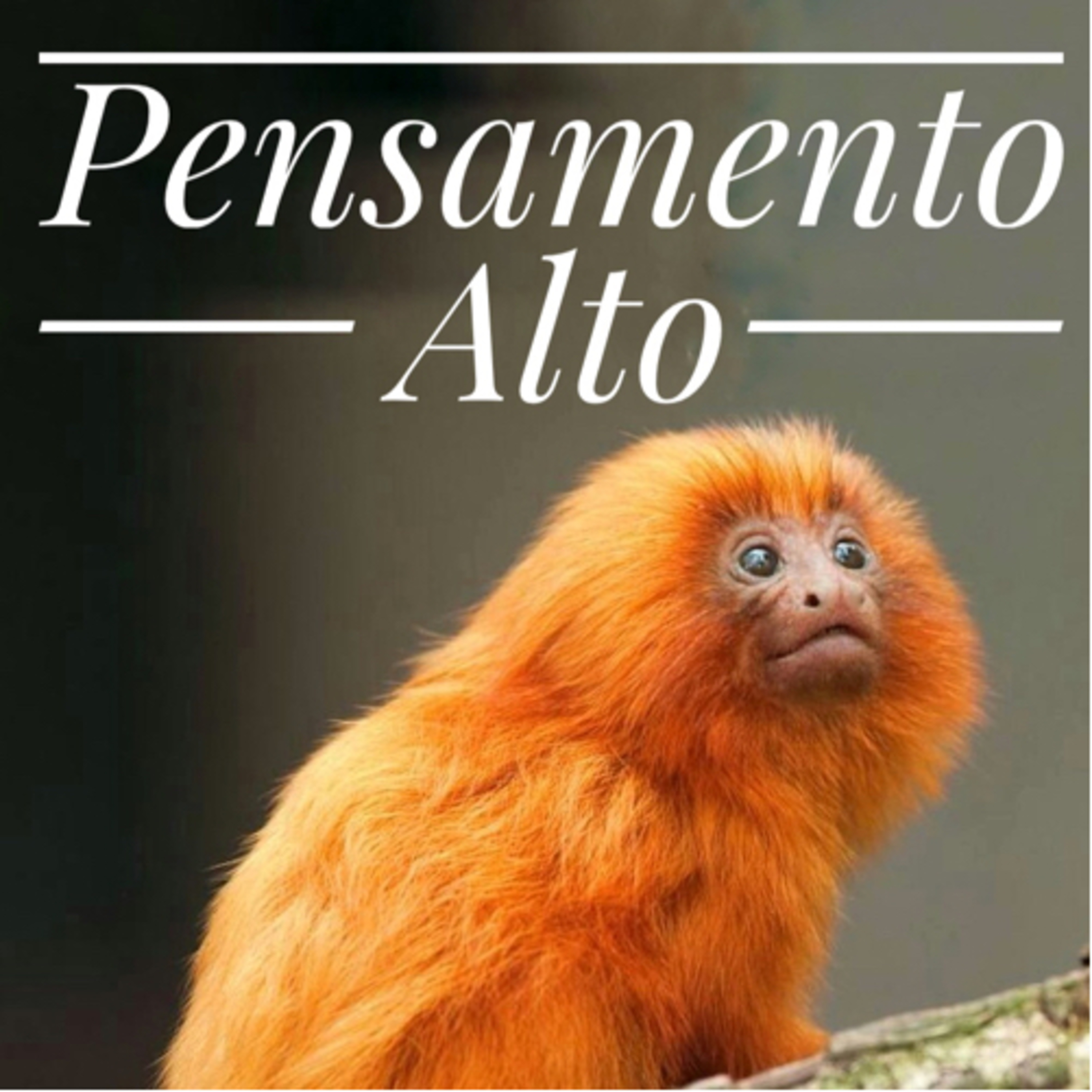 Pensamento Alto