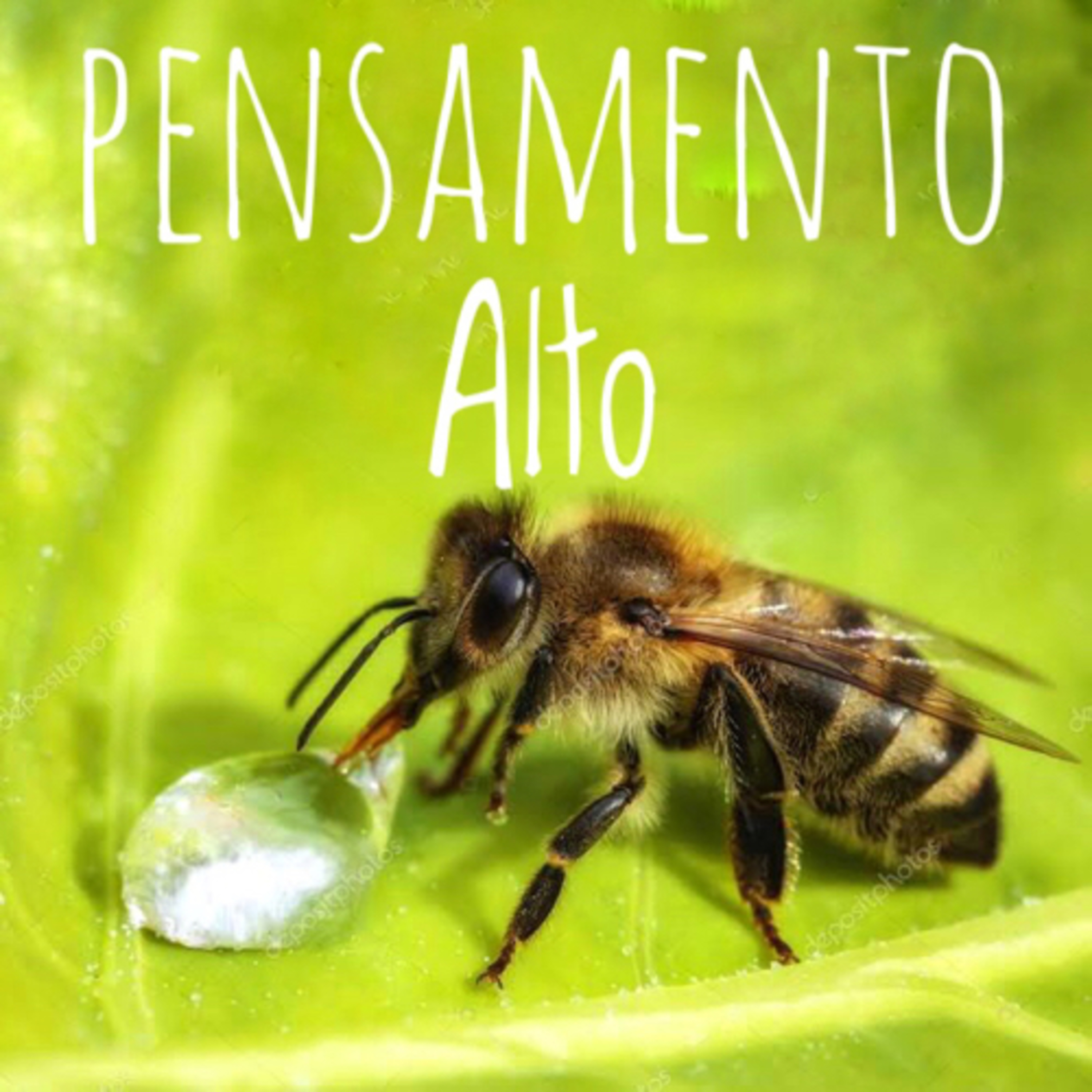 Pensamento Alto