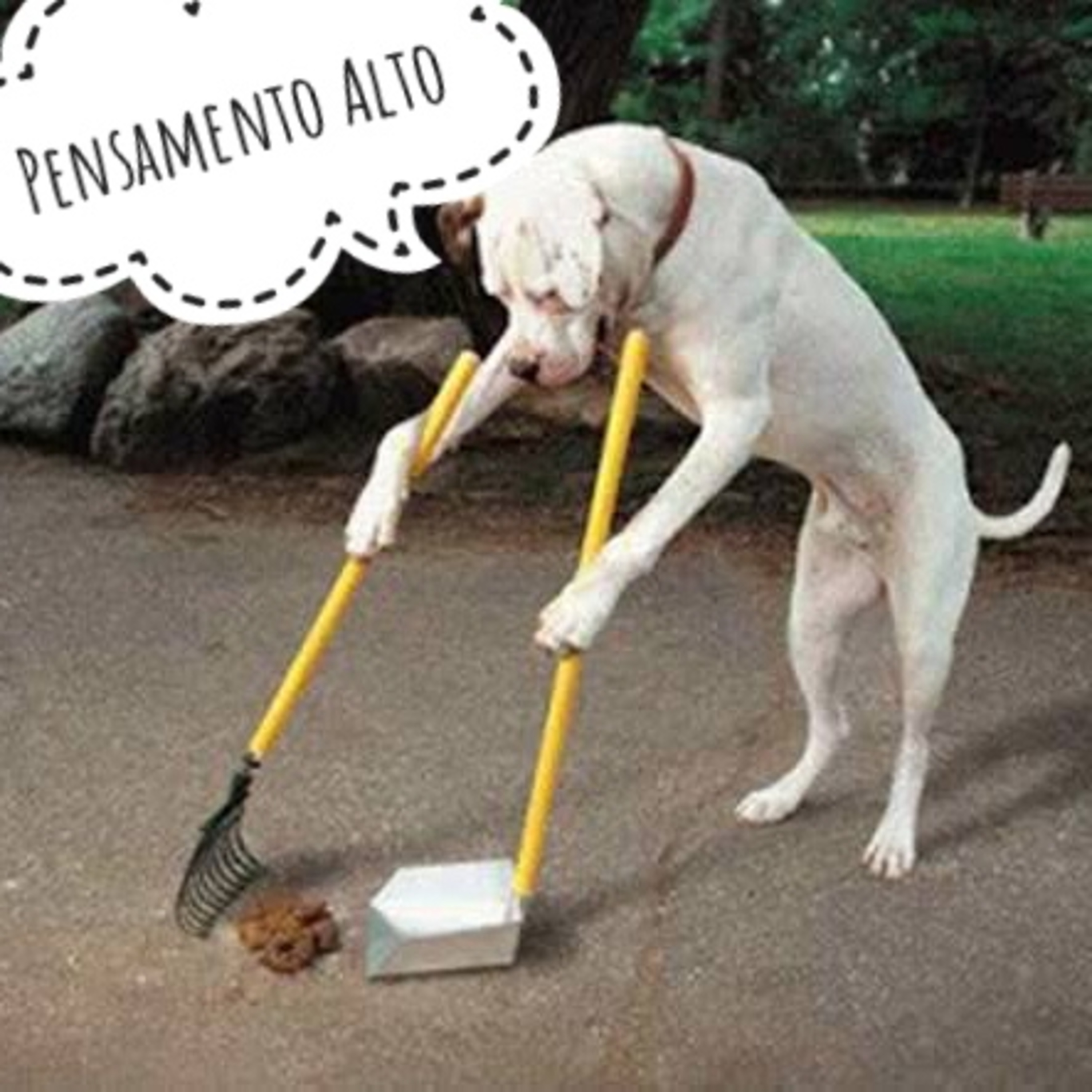 Pensamento Alto