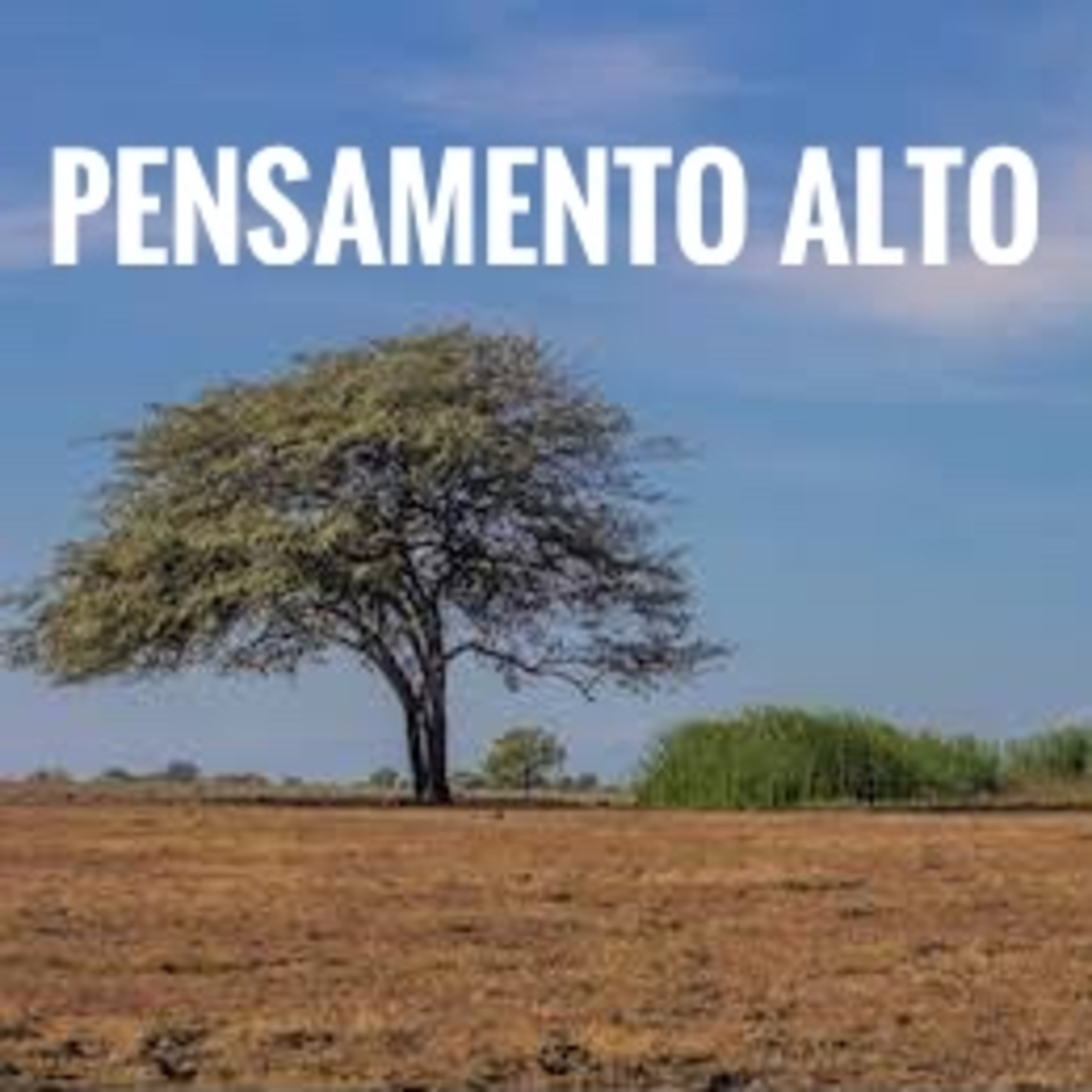 Pensamento Alto
