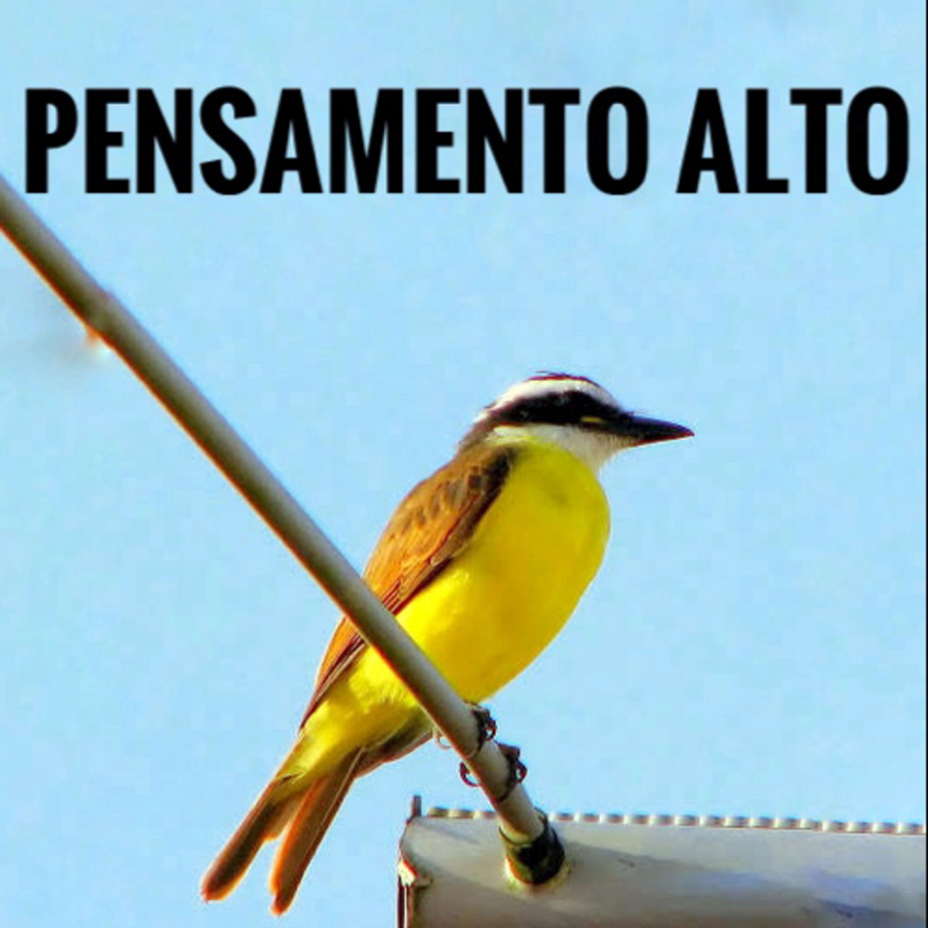 Pensamento Alto