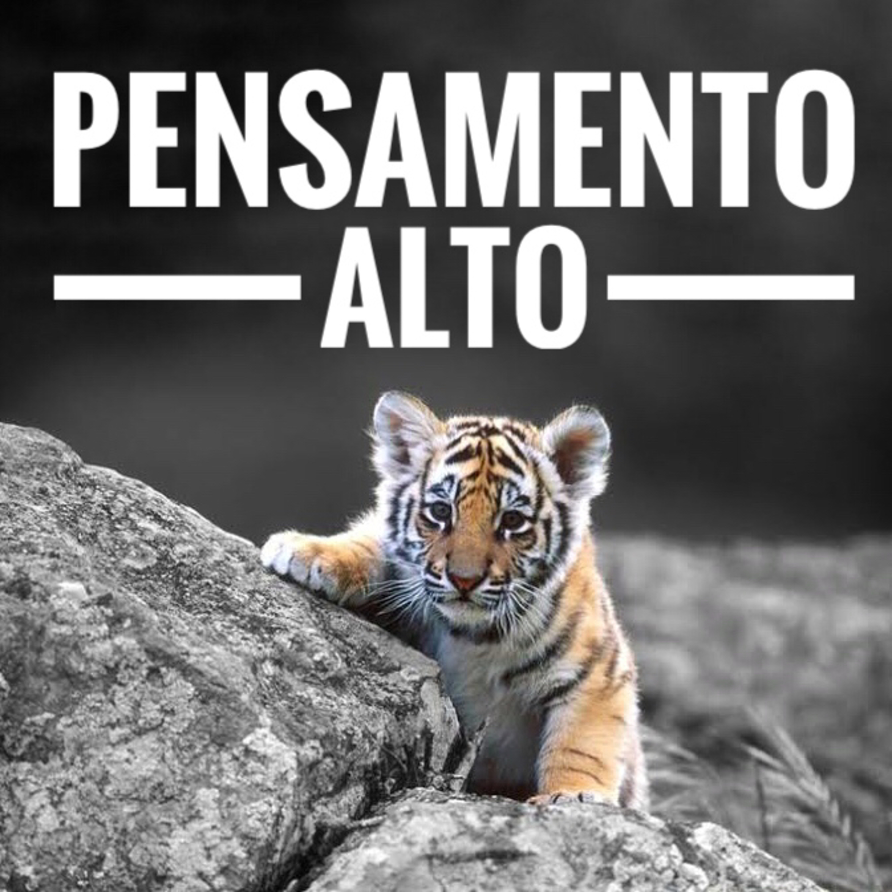 Pensamento Alto
