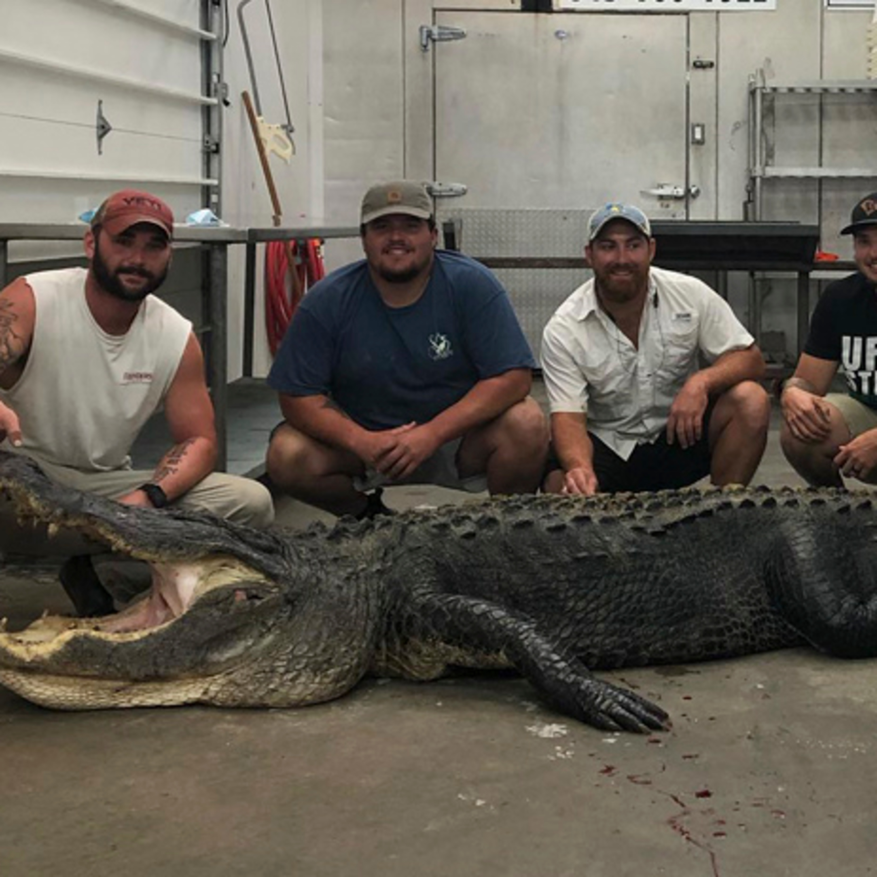 Aaryn Folden's massive Santee gator
