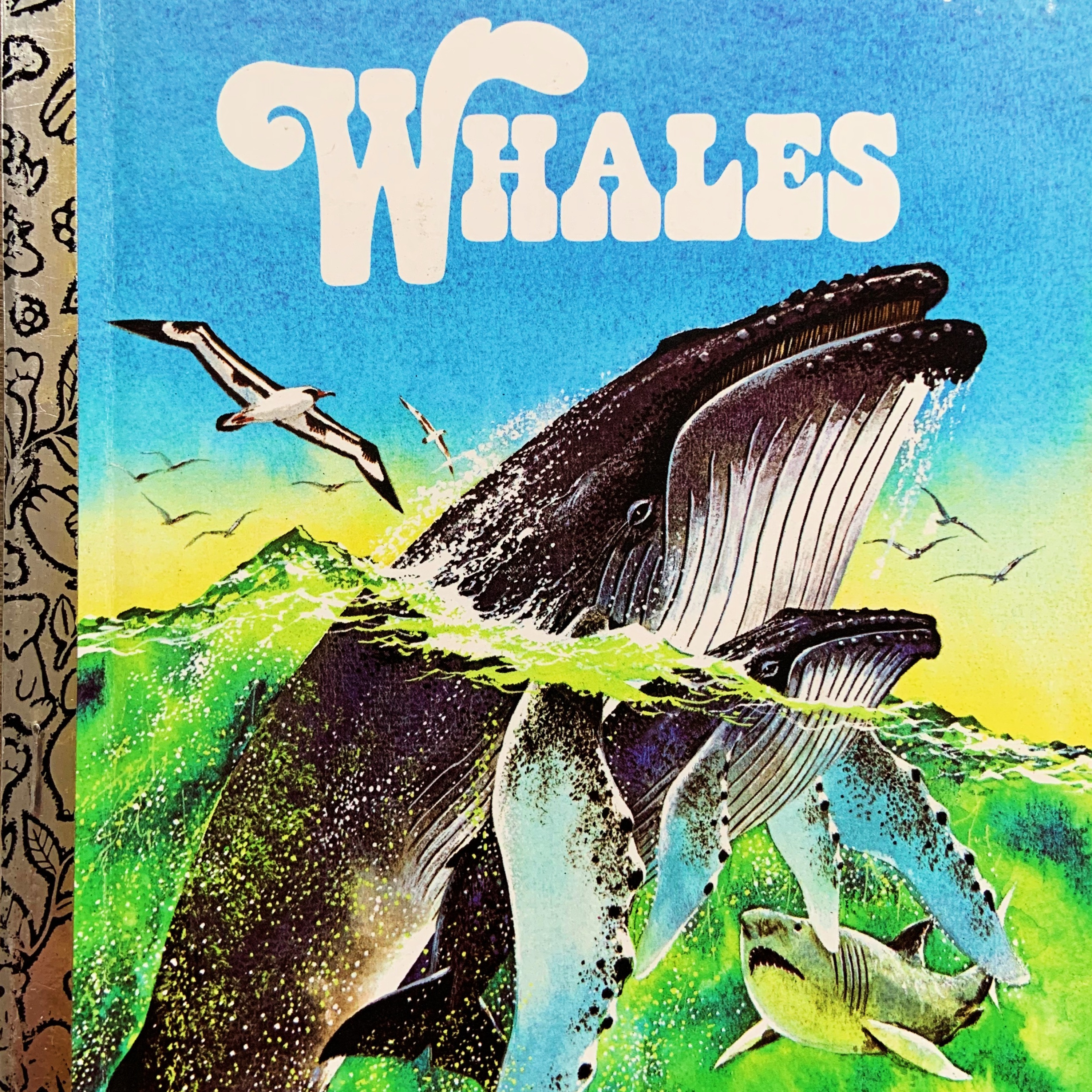 [ EARTH DAY SPECIAL ] Whales by Jane Werner Watson | READ ALONG VIDEO | Educational Stories for Kids Read Aloud