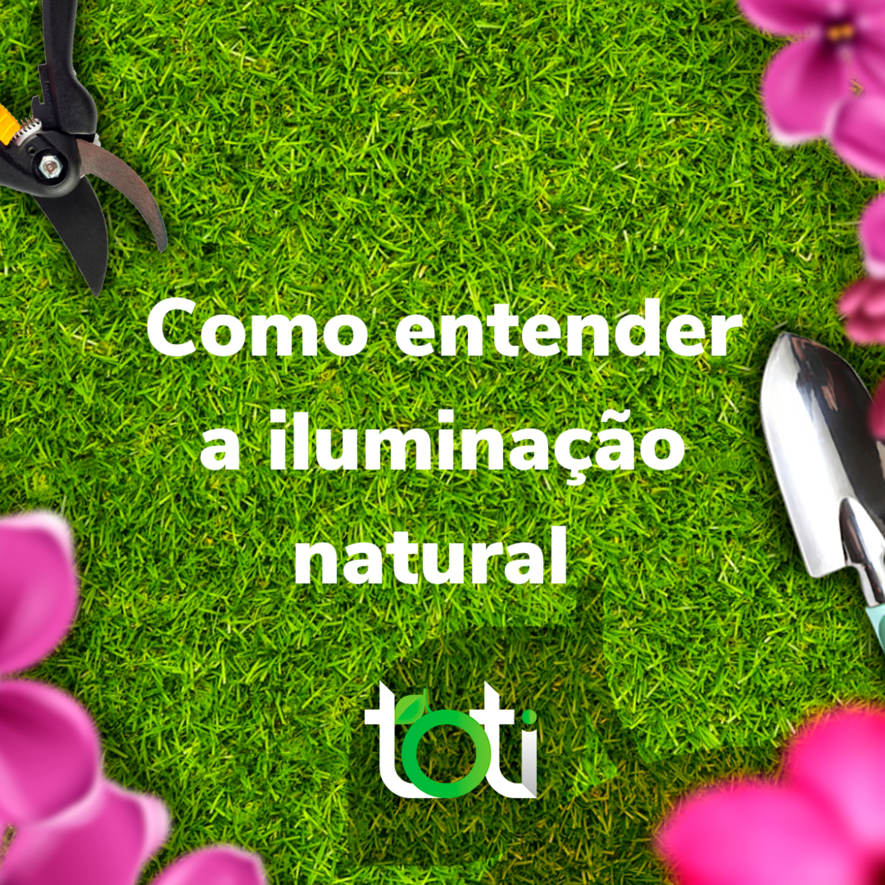 Toti Podcast
