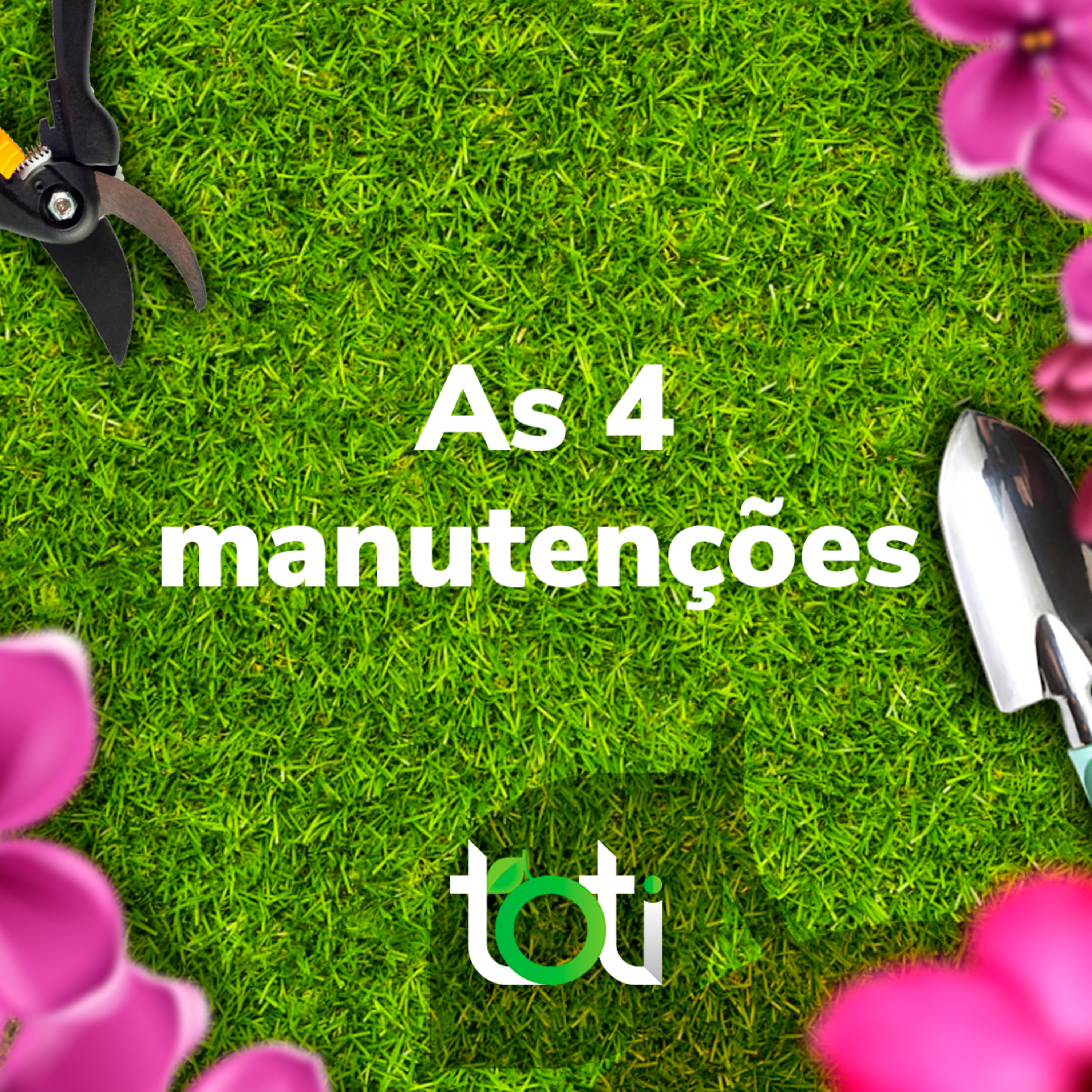 Toti Podcast