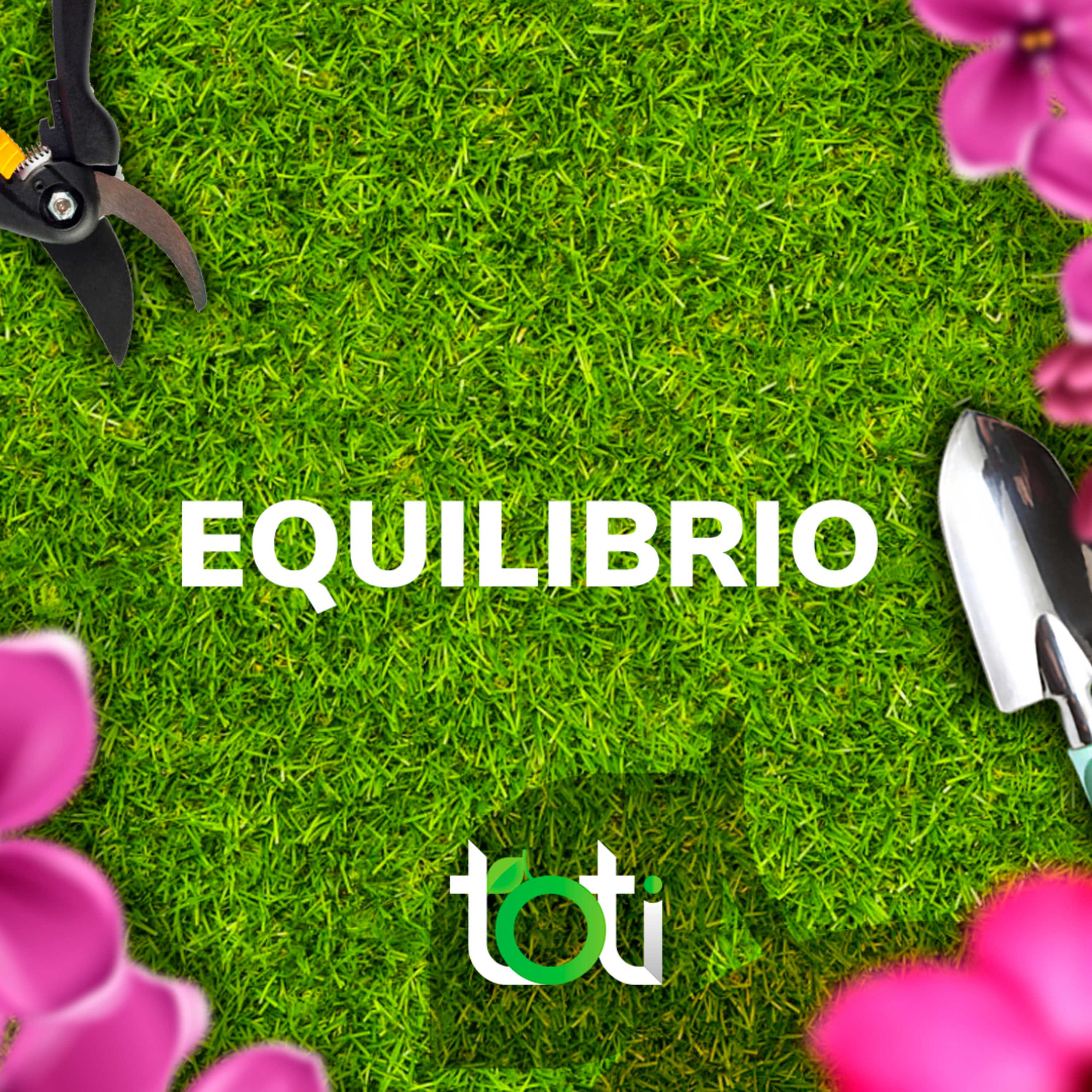 Toti Podcast