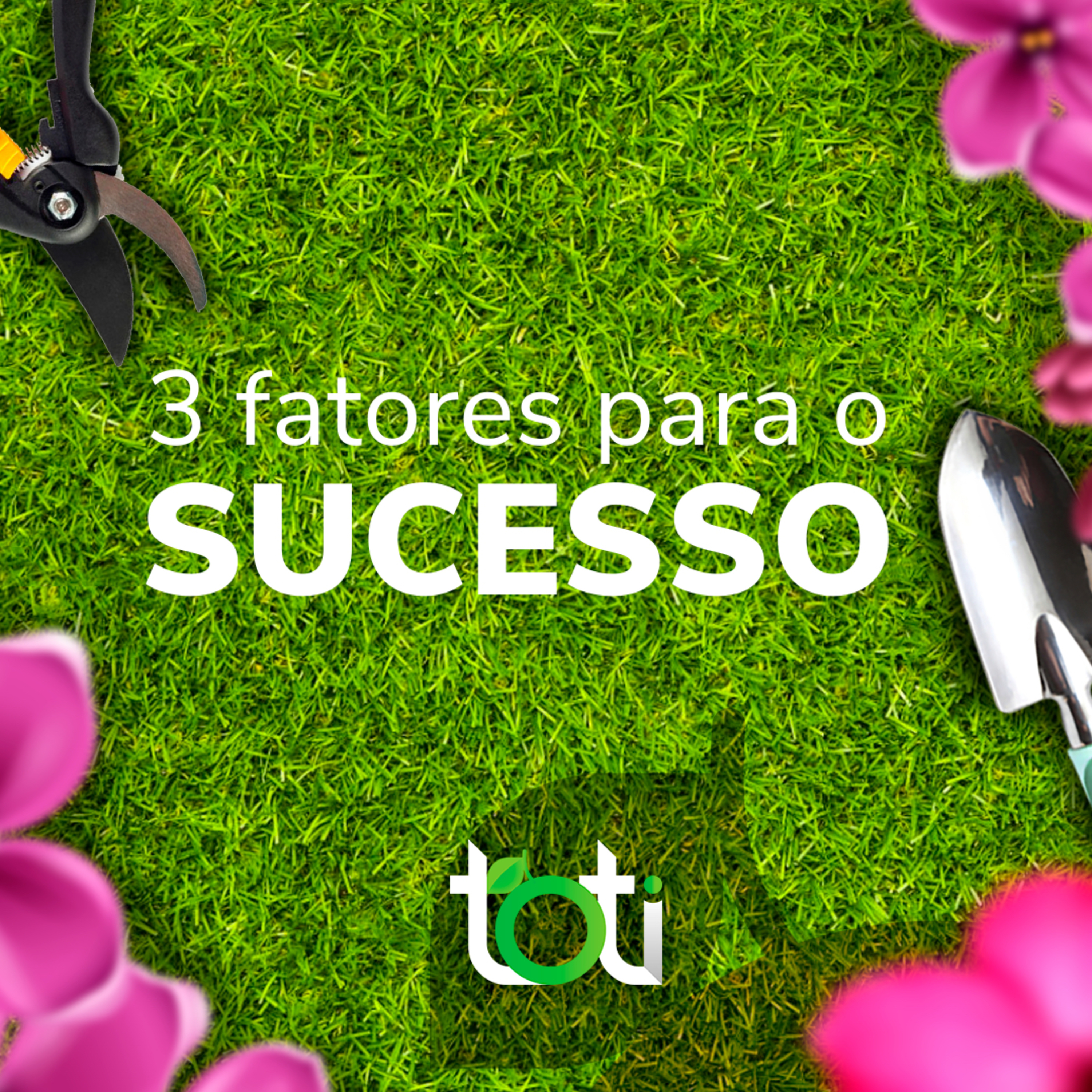 Toti Podcast