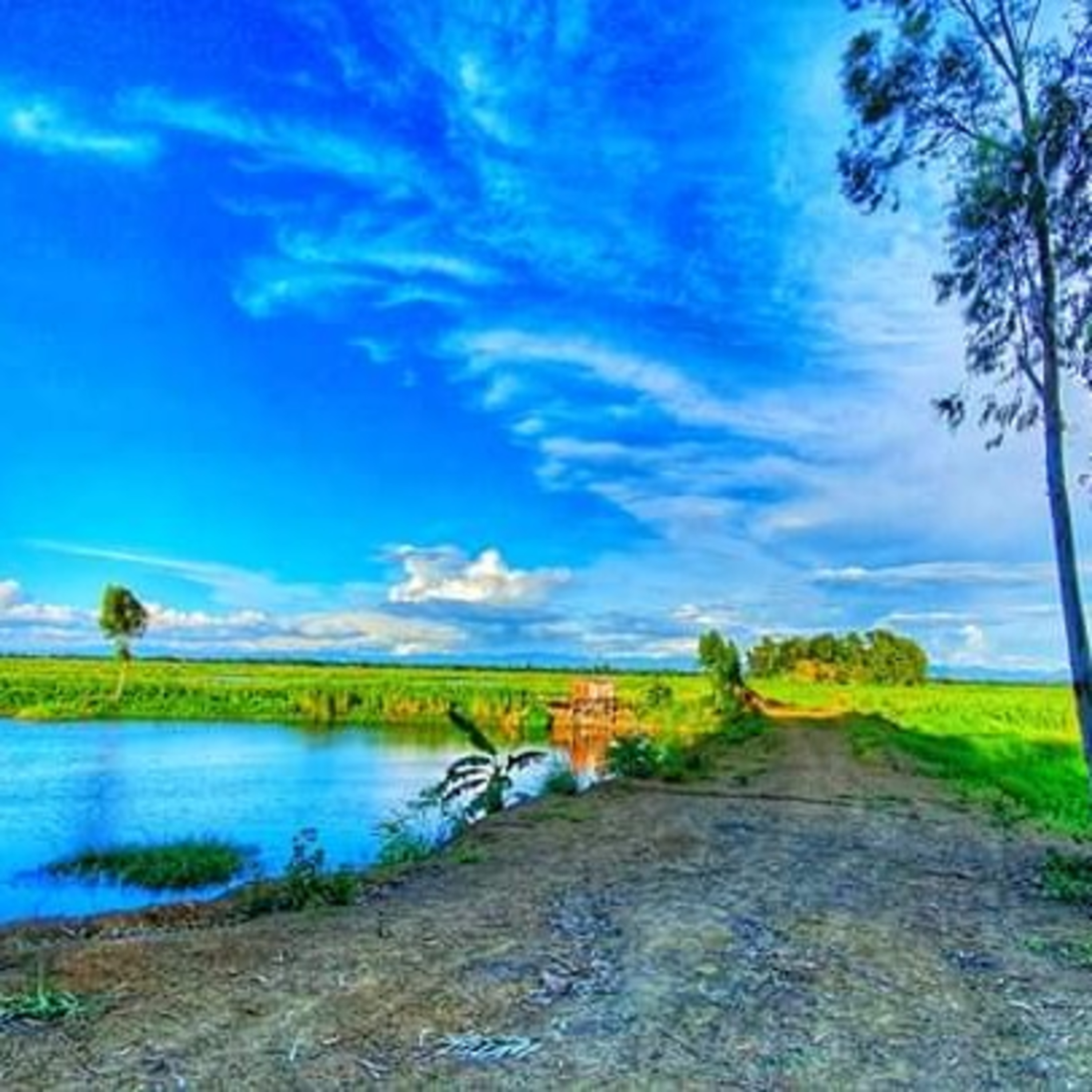 Peace Senjam
