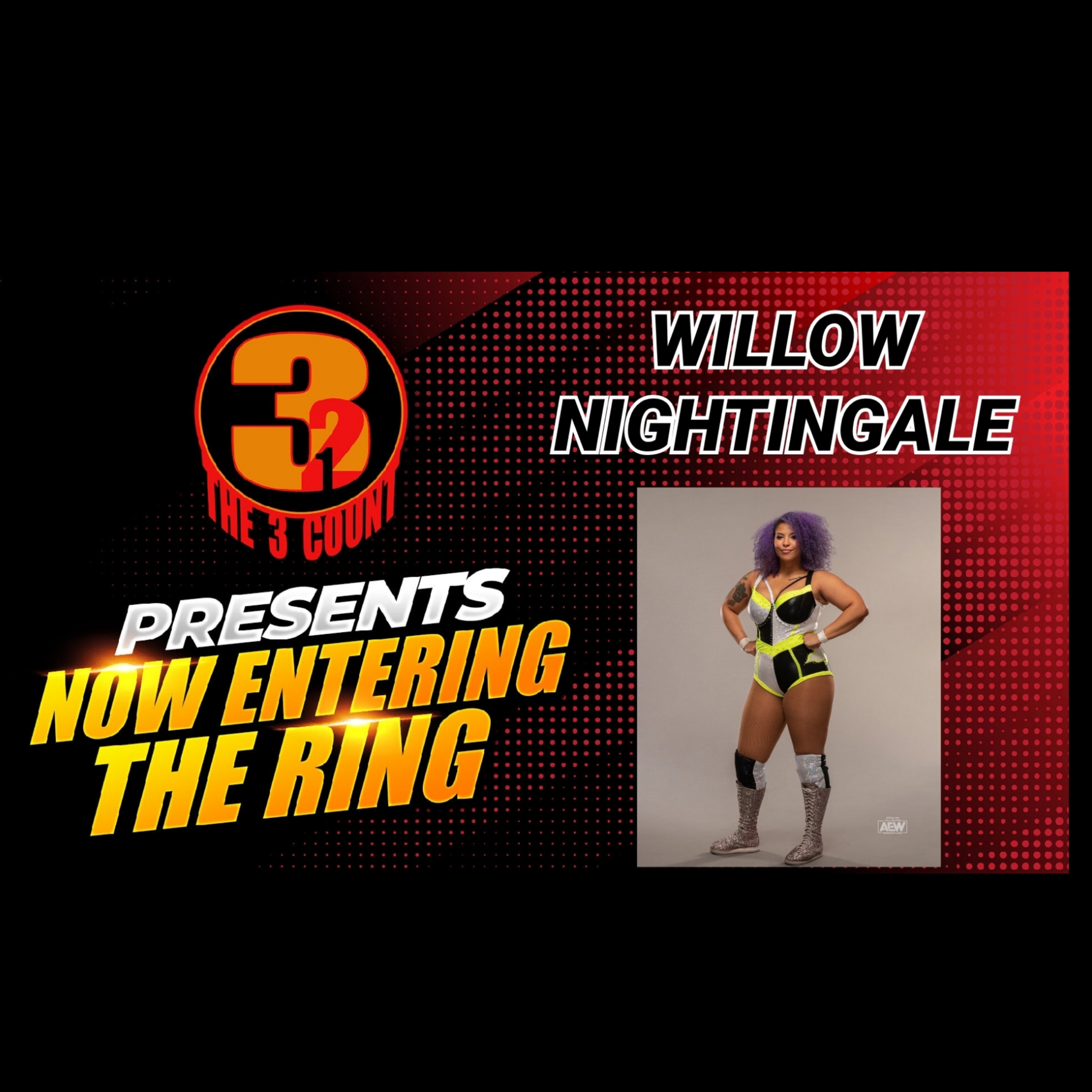 WILLOW NIGHTINGALE IS NOW ENTERING THE RING  episode artwork