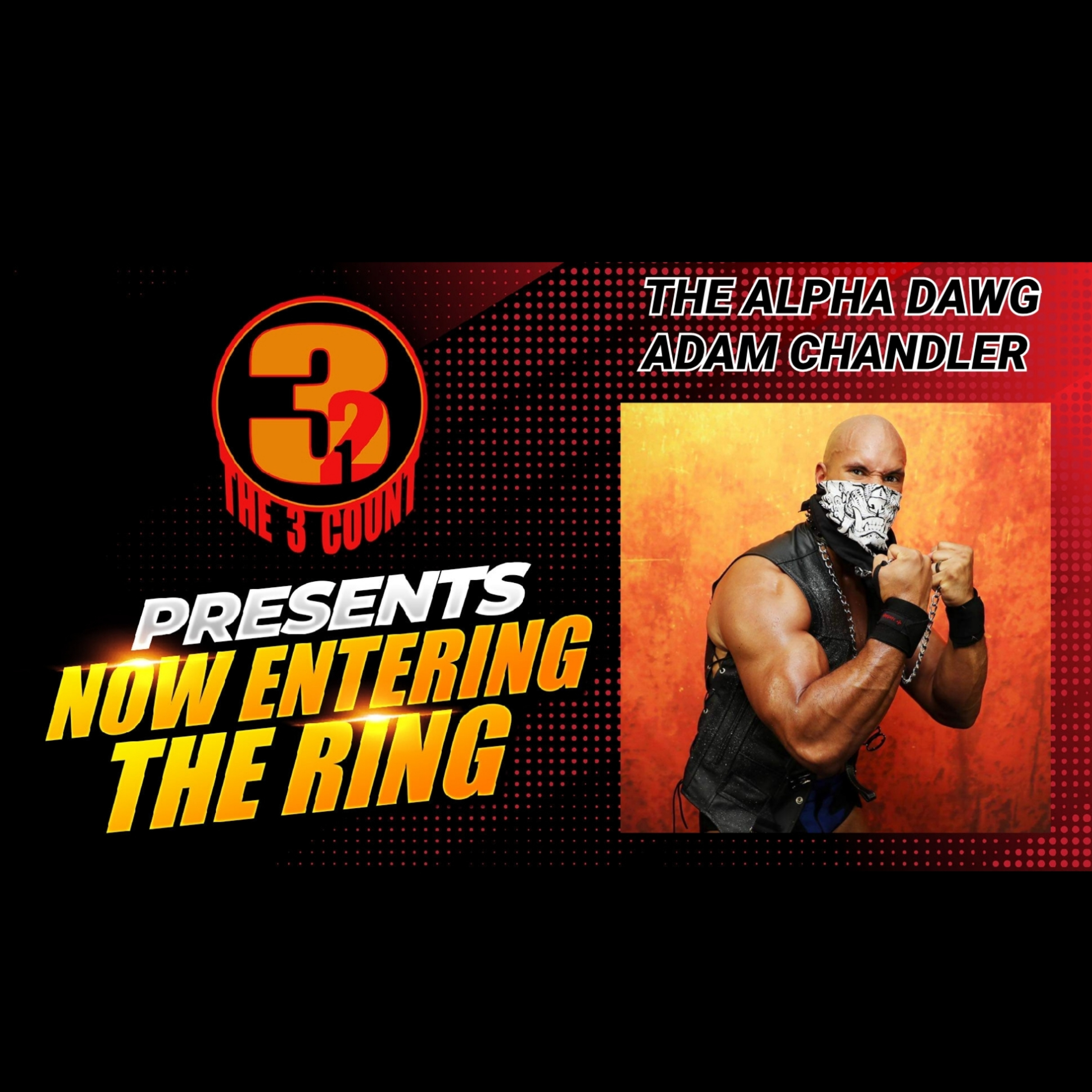 ADAM CHANDLER IS NOW ENTERING THE RING  episode artwork