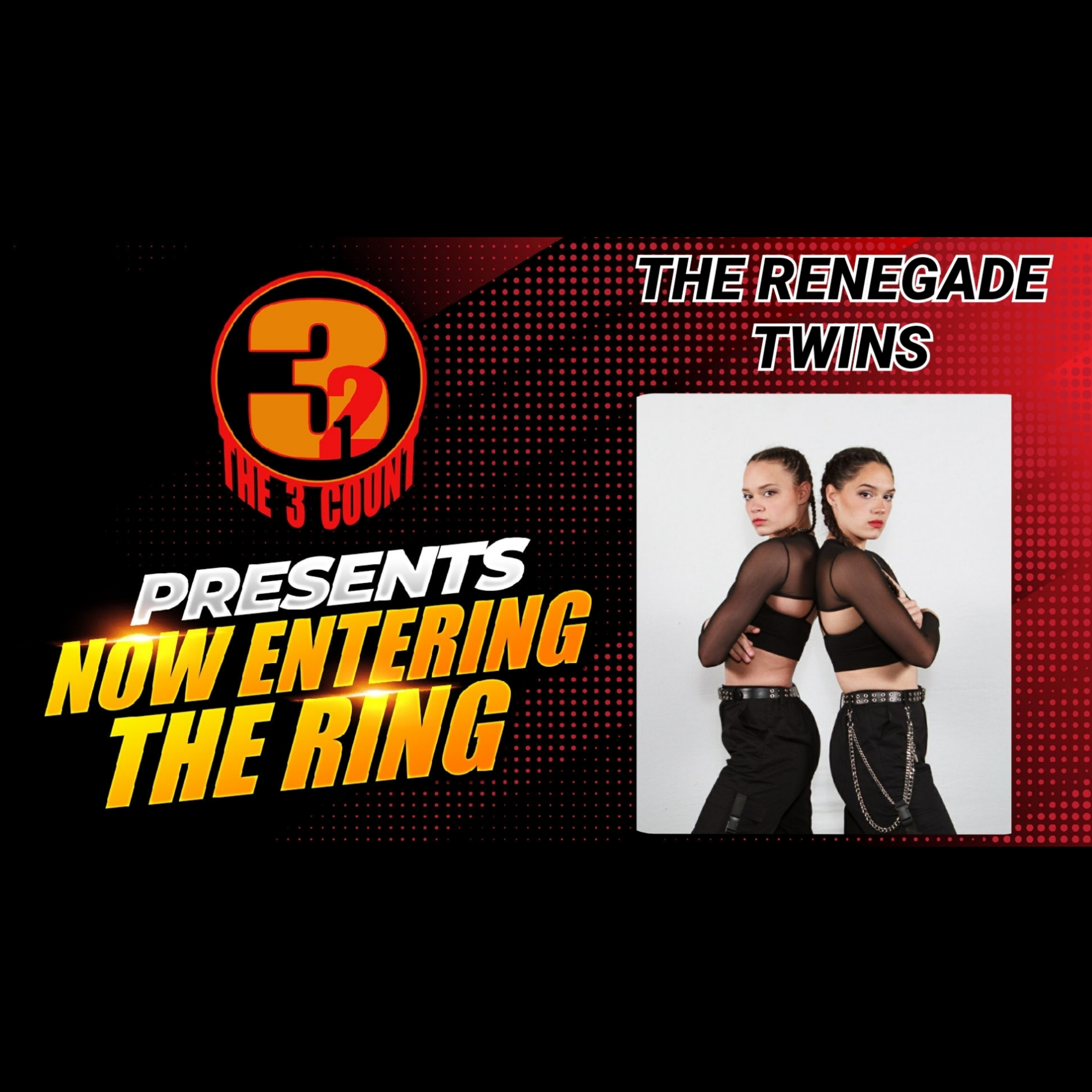 THE RENEGADE TWINS ARE NOW ENTERING THE RING  episode artwork