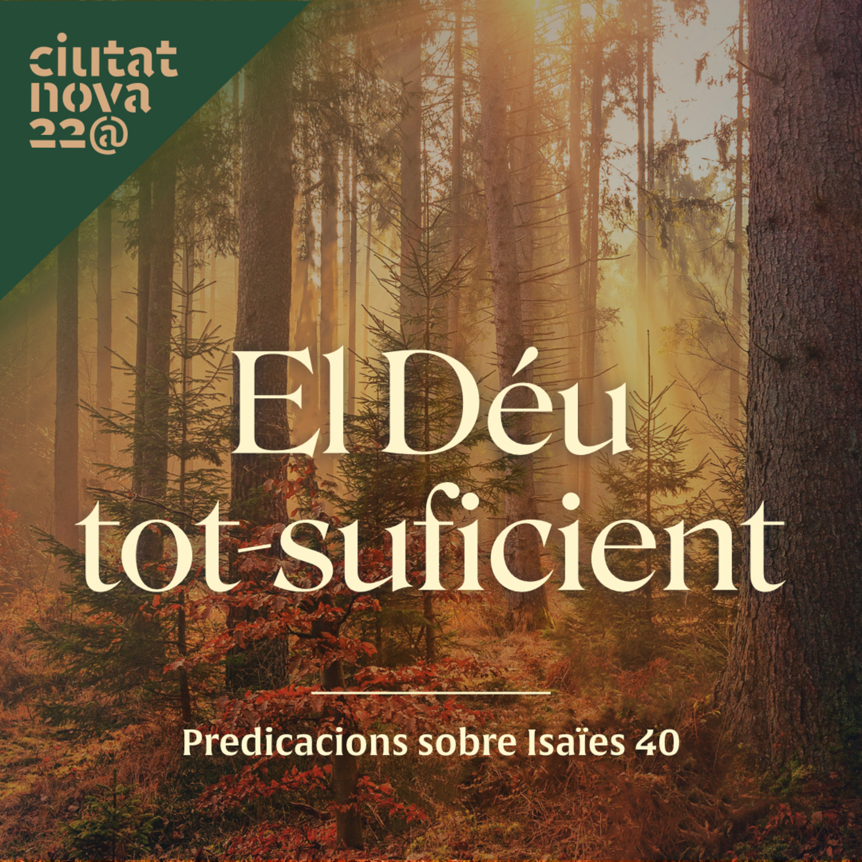 3. El Déu tot-suficient: La glòria de Déu (Isaïes 40:5) episode artwork