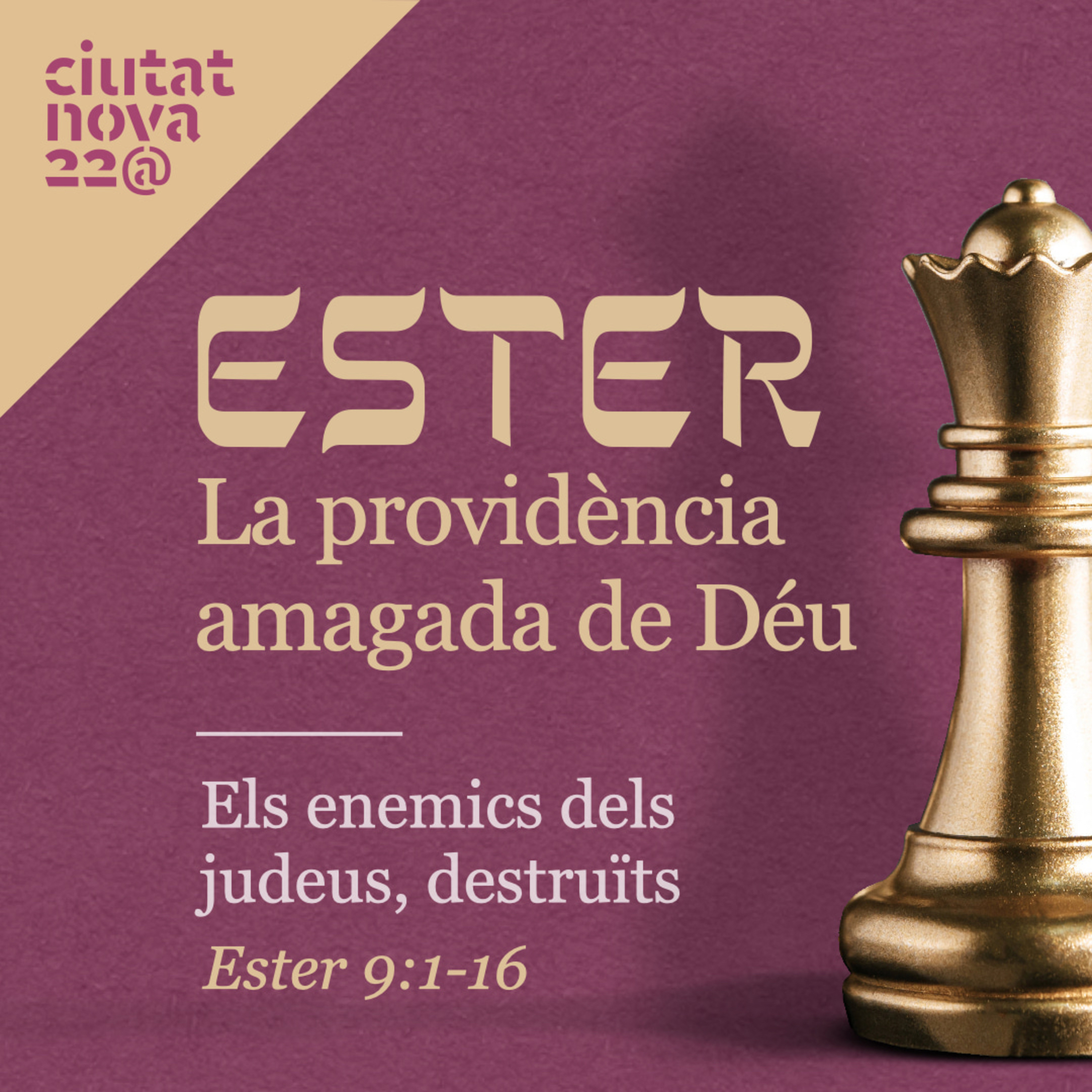 8. Els enemics dels jueus, destruïts (Ester 9:1-16) episode artwork