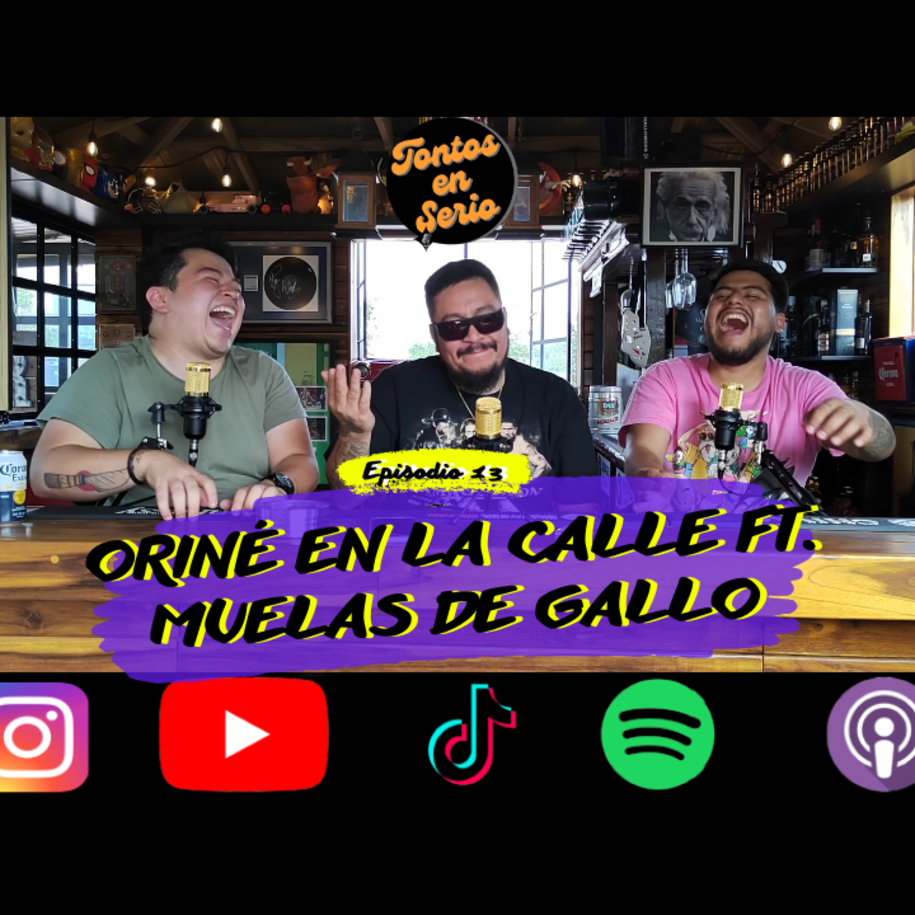 Tontos En Serio