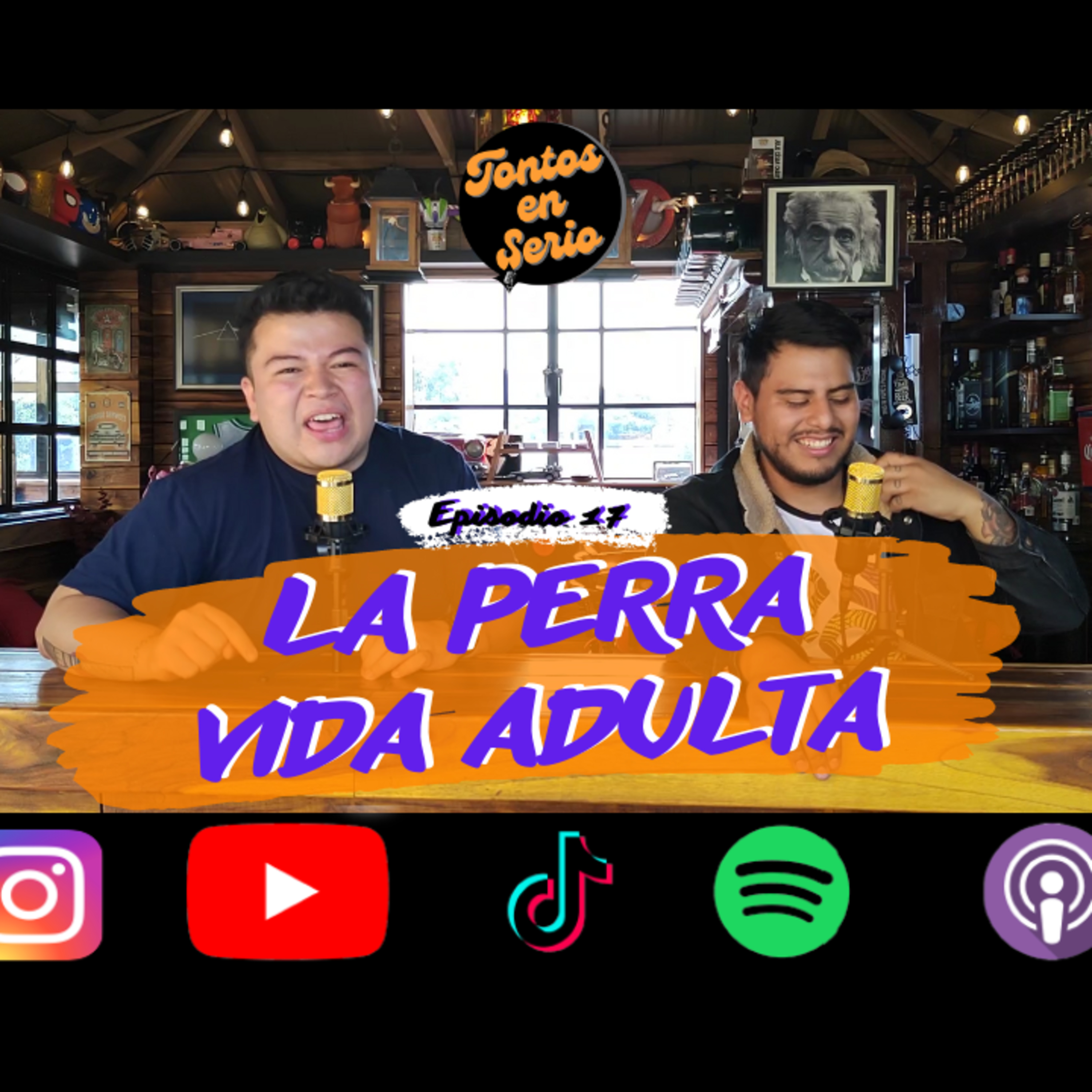 Tontos En Serio