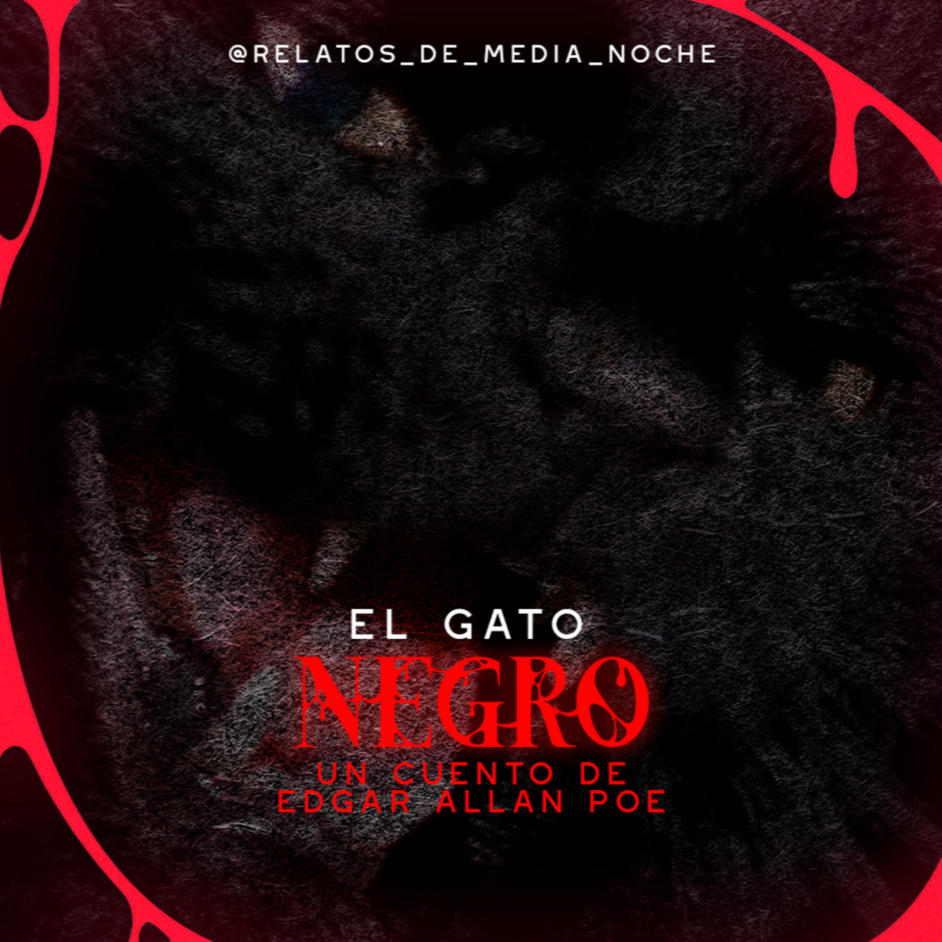 22 - El Gato Negro (Edgar Allan Poe)