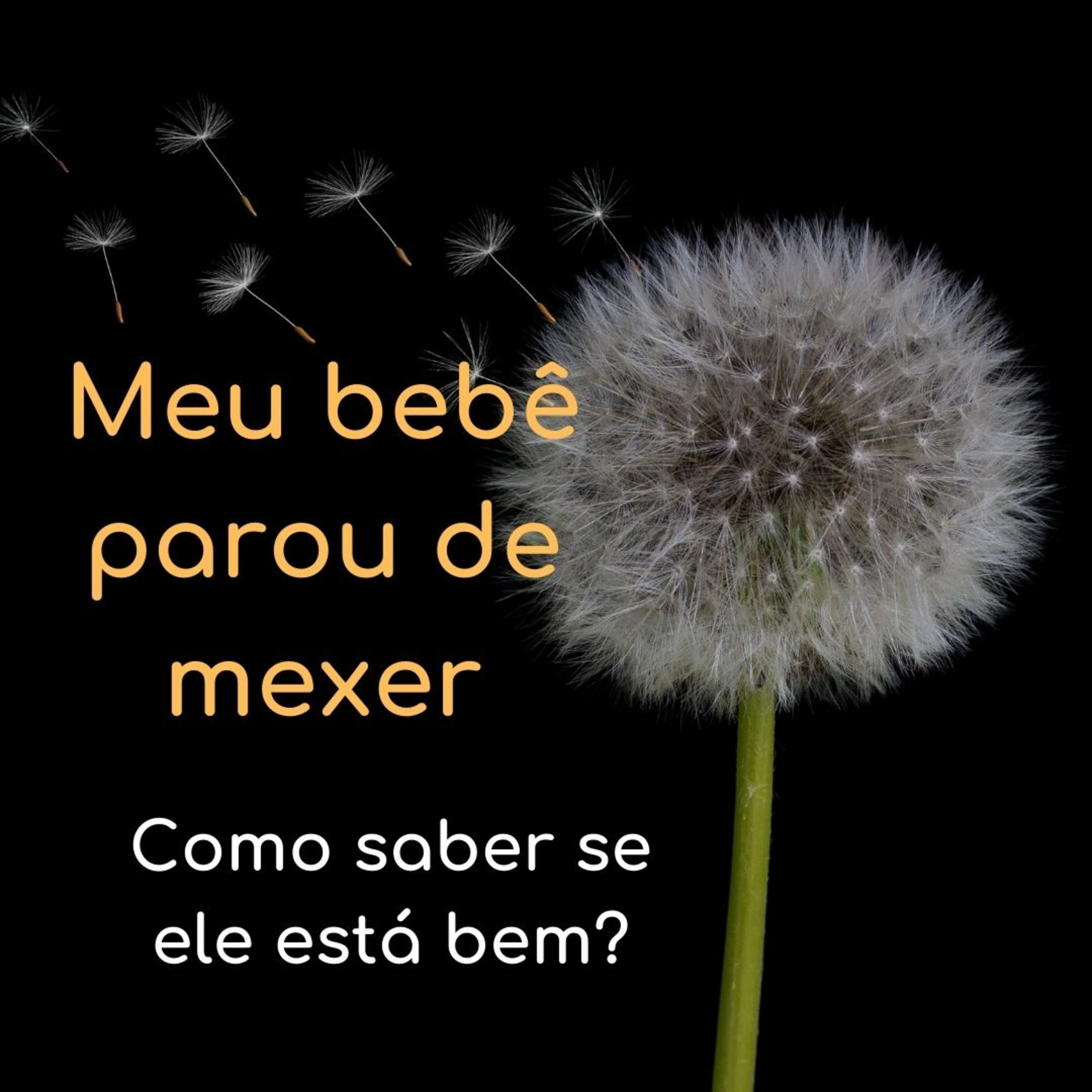 Melhore sua Gravidez com Luddoula