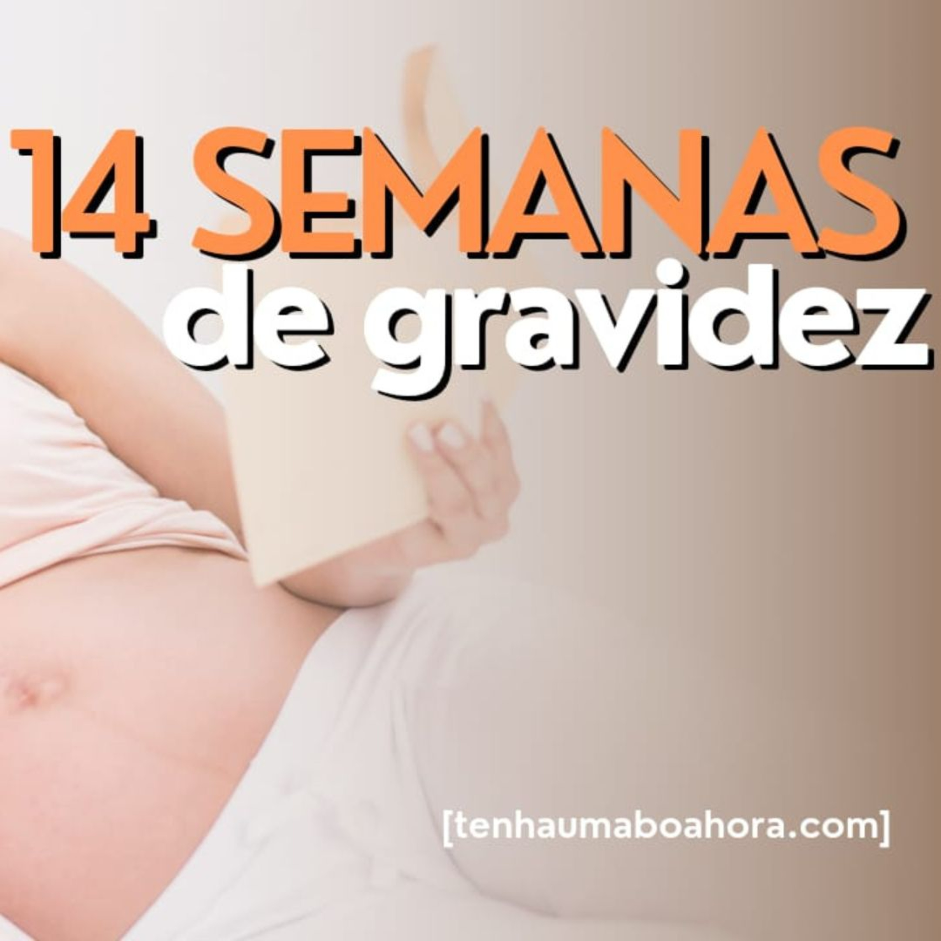 Melhore sua Gravidez com Luddoula