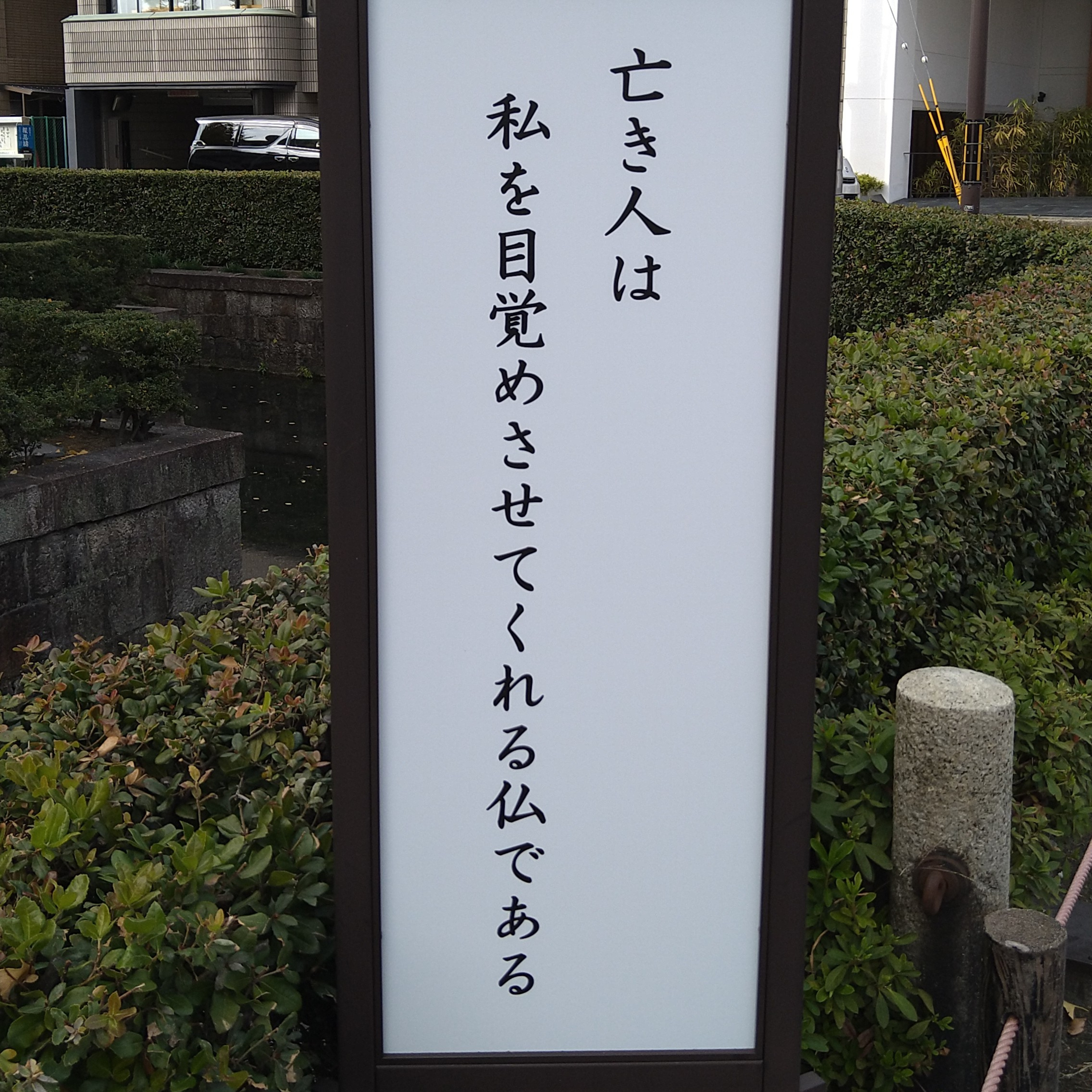 悩みはつきないけど、悩んでも仕方ない episode artwork