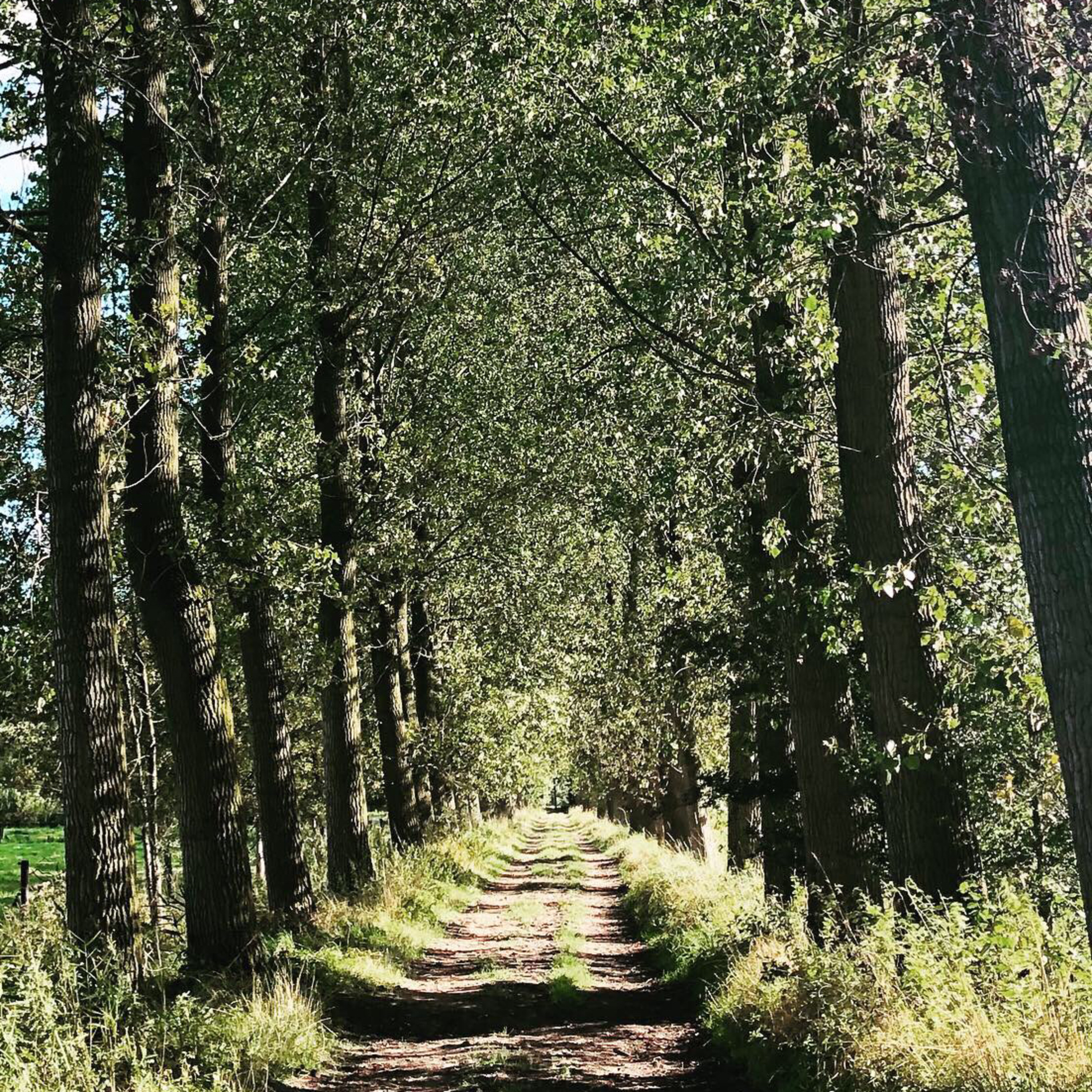 Essence of Life - Alles beginnt mit Dir