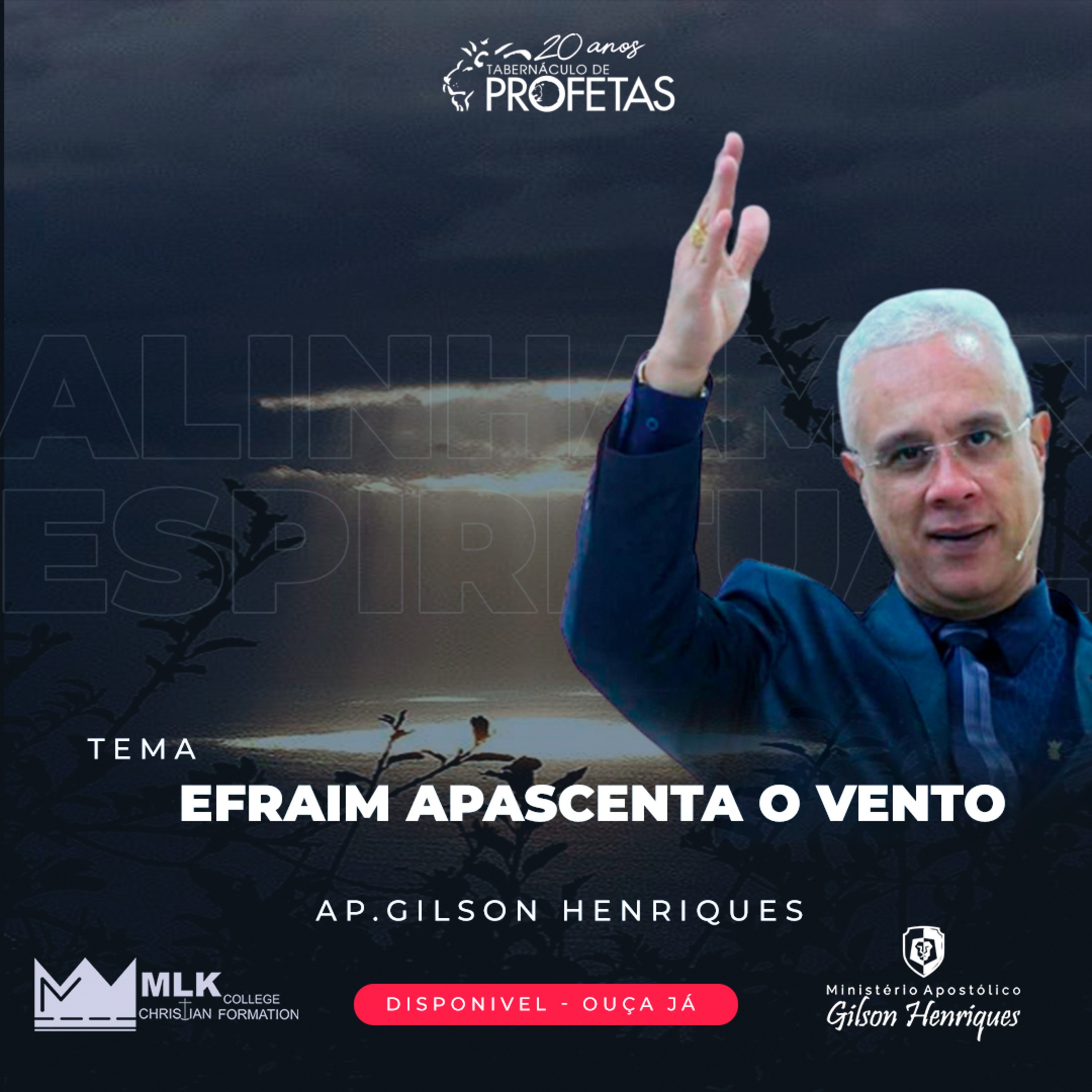Arena do Leão