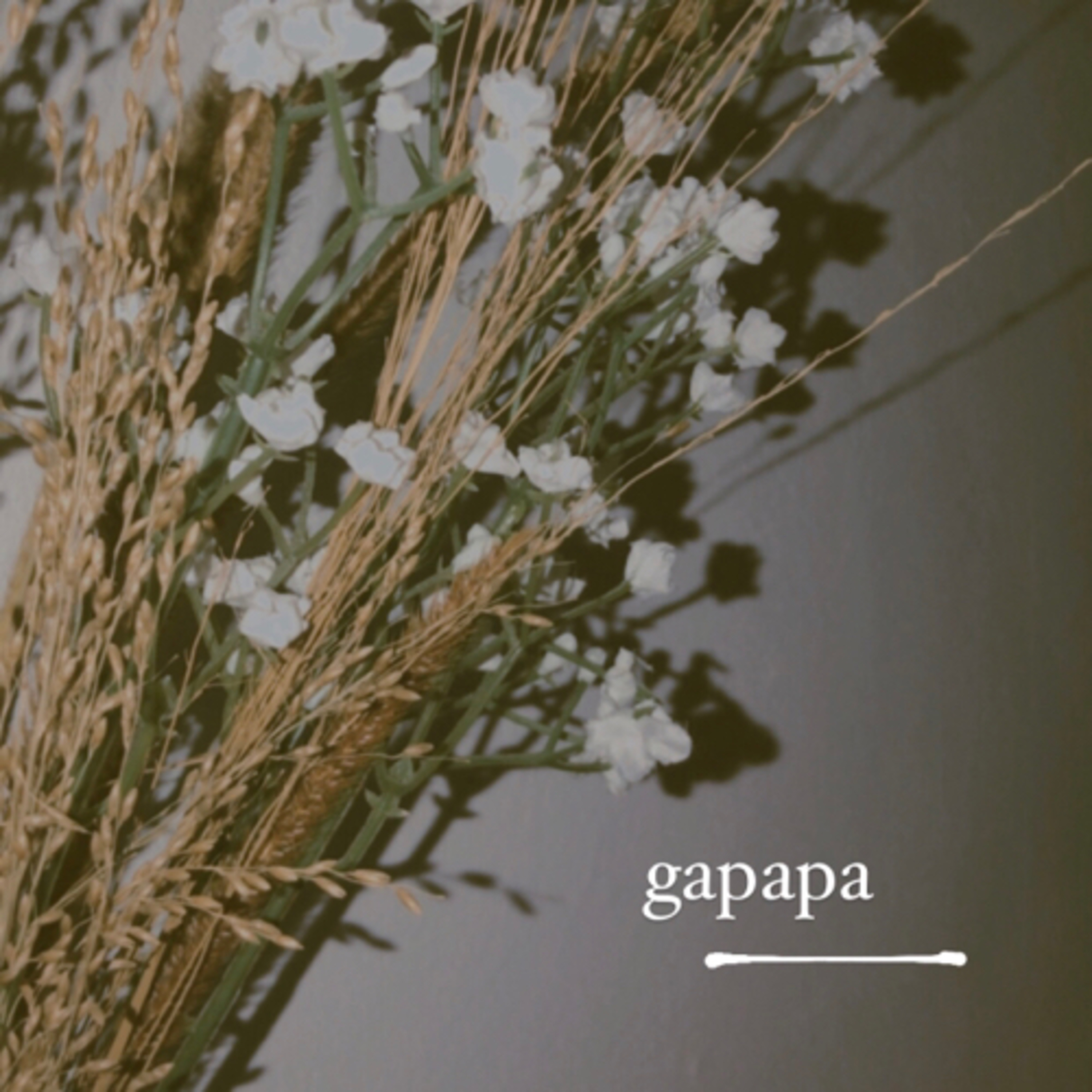 Gapapa episode artwork
