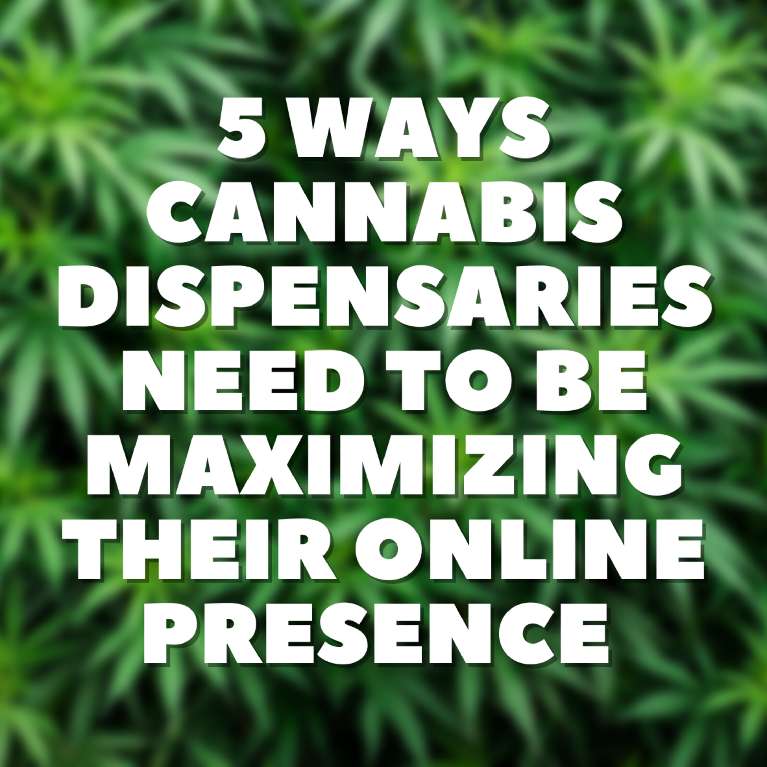 5 Ways Cannabis Dispensaries Need to Be Maximizing Their Online Presence 🚀
