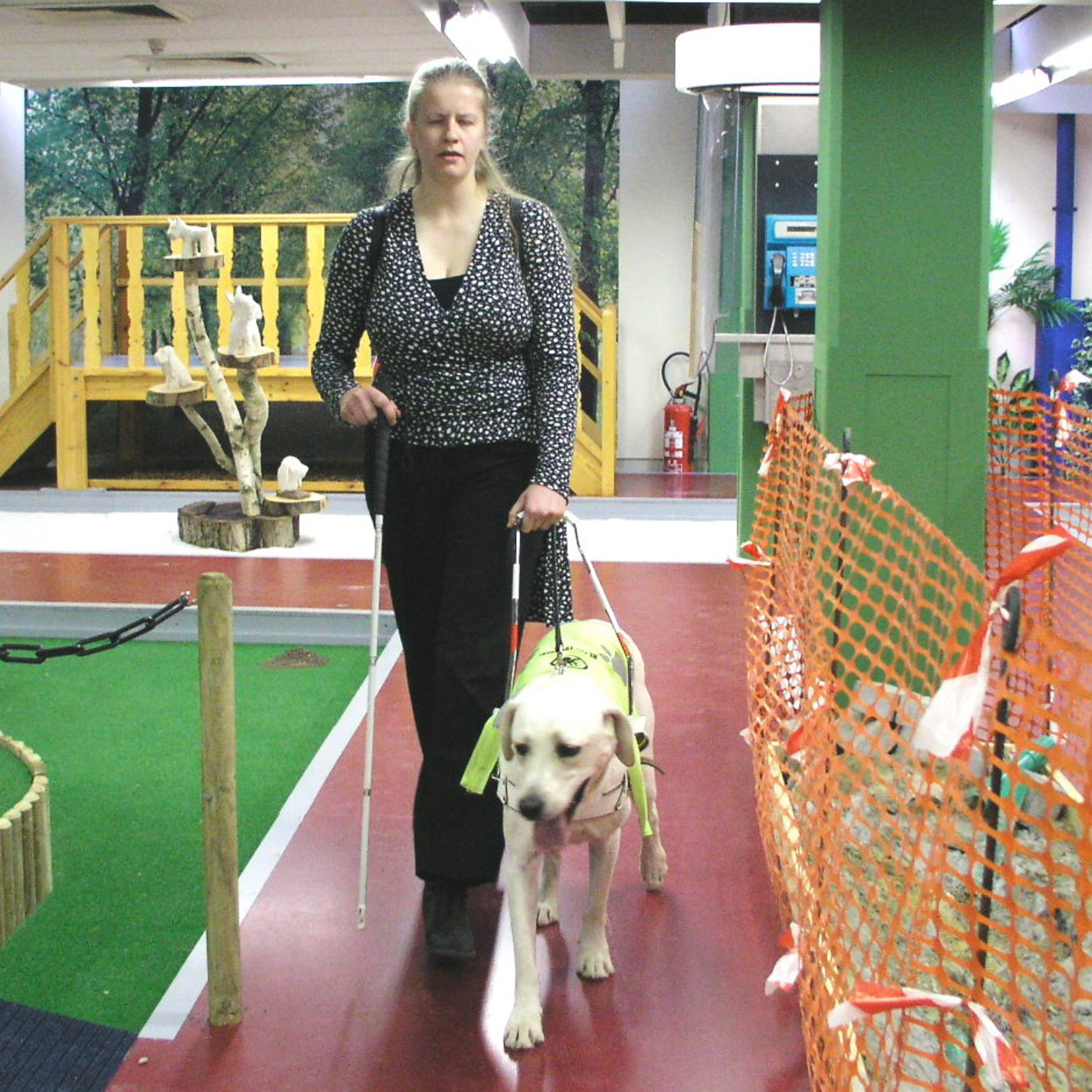 The amazing guide dogs for the visually impared episode artwork