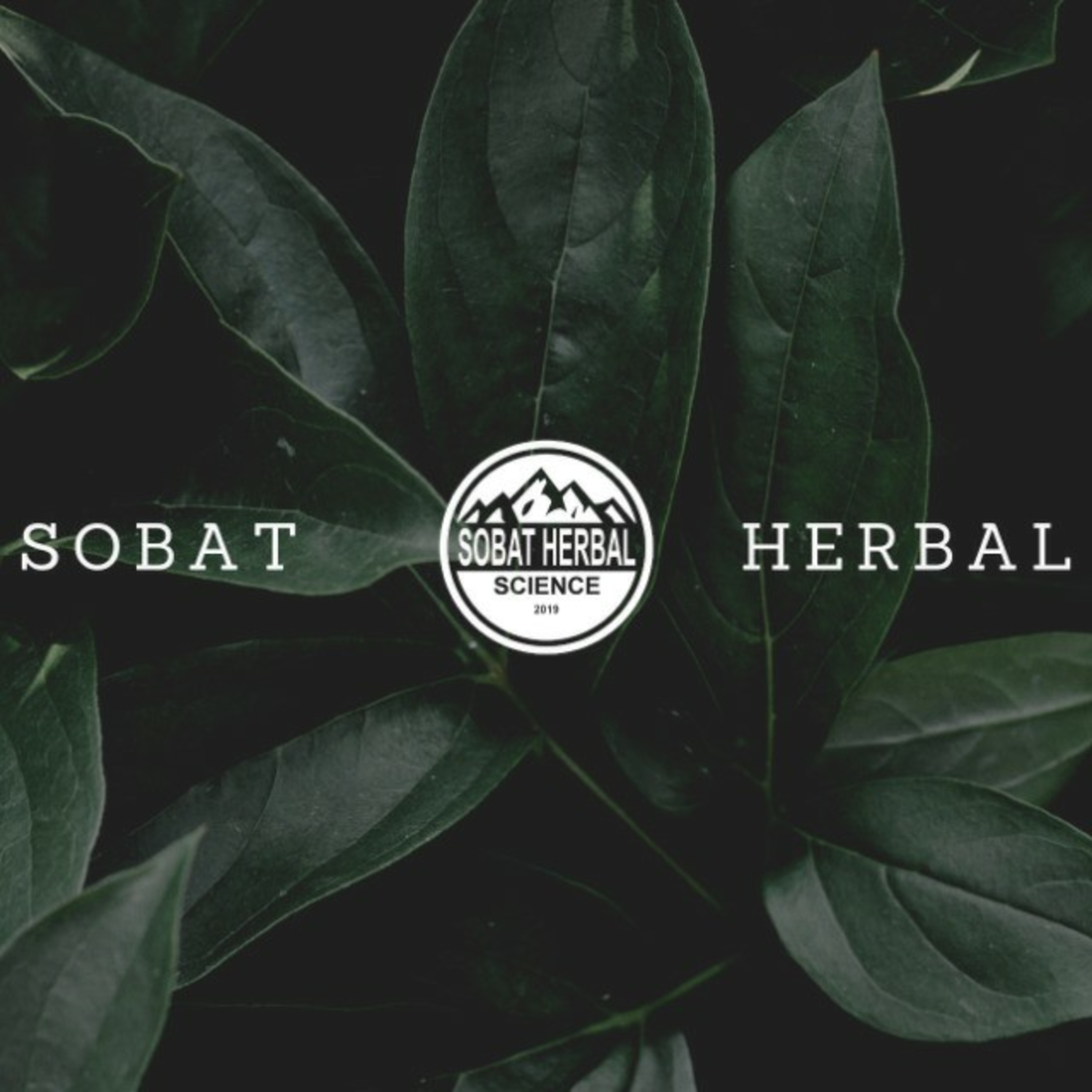 Sobat Herbal