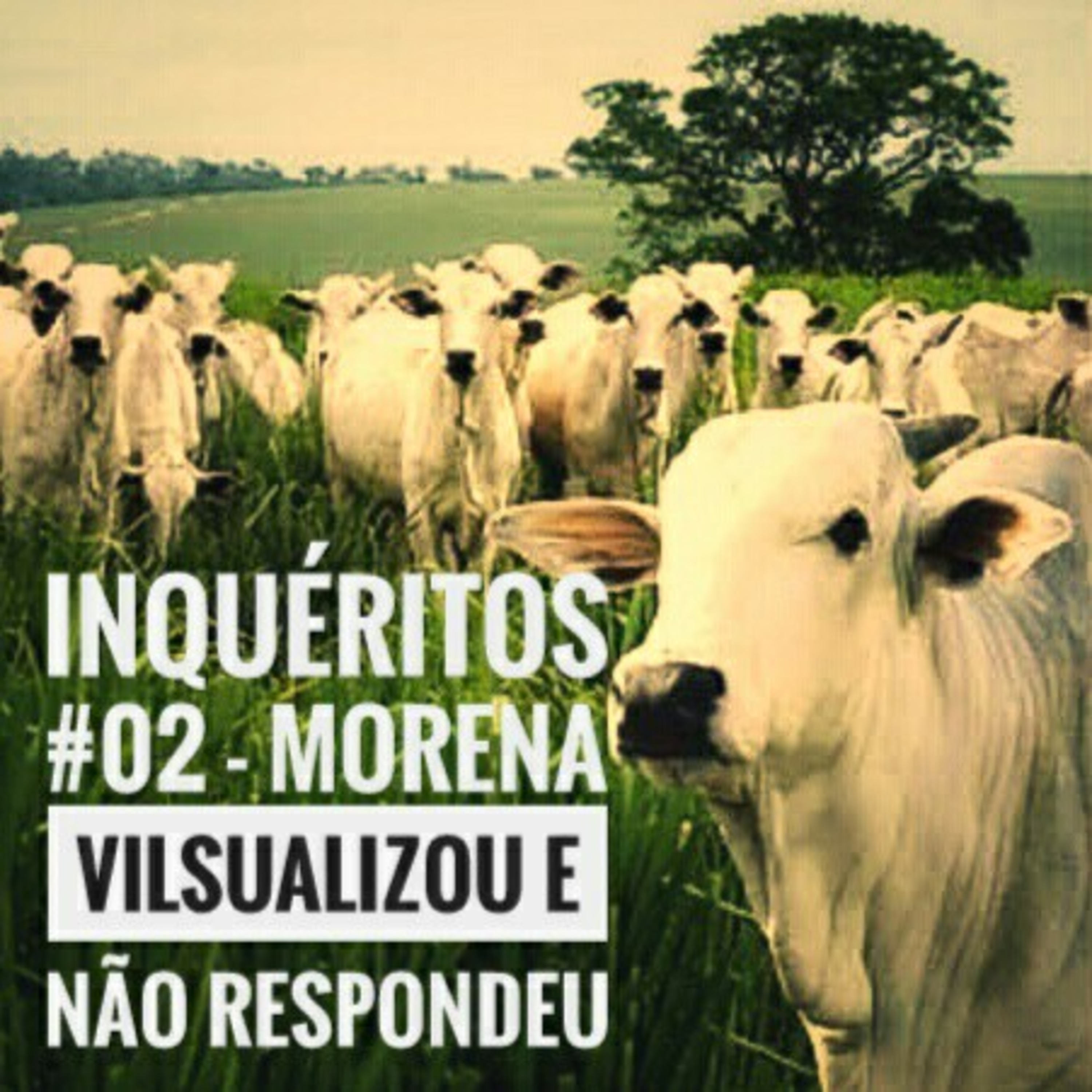 INQUÉRITOS #02 - ZEZÃO COLOCA UM TIM MAIA QUE A MORENA VILSUALIZOU E NÃO RESPONDEU  episode artwork