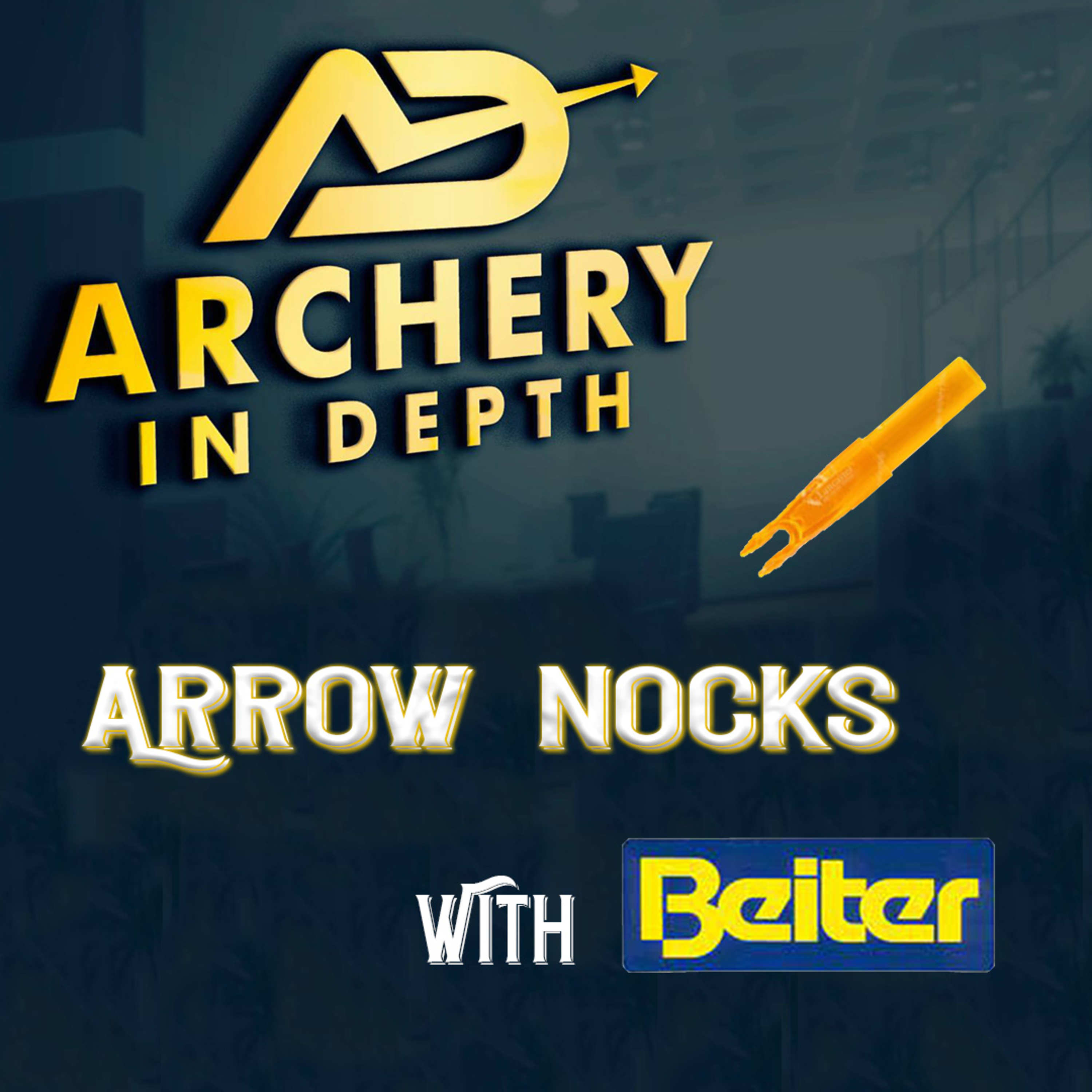 Archery In Depth