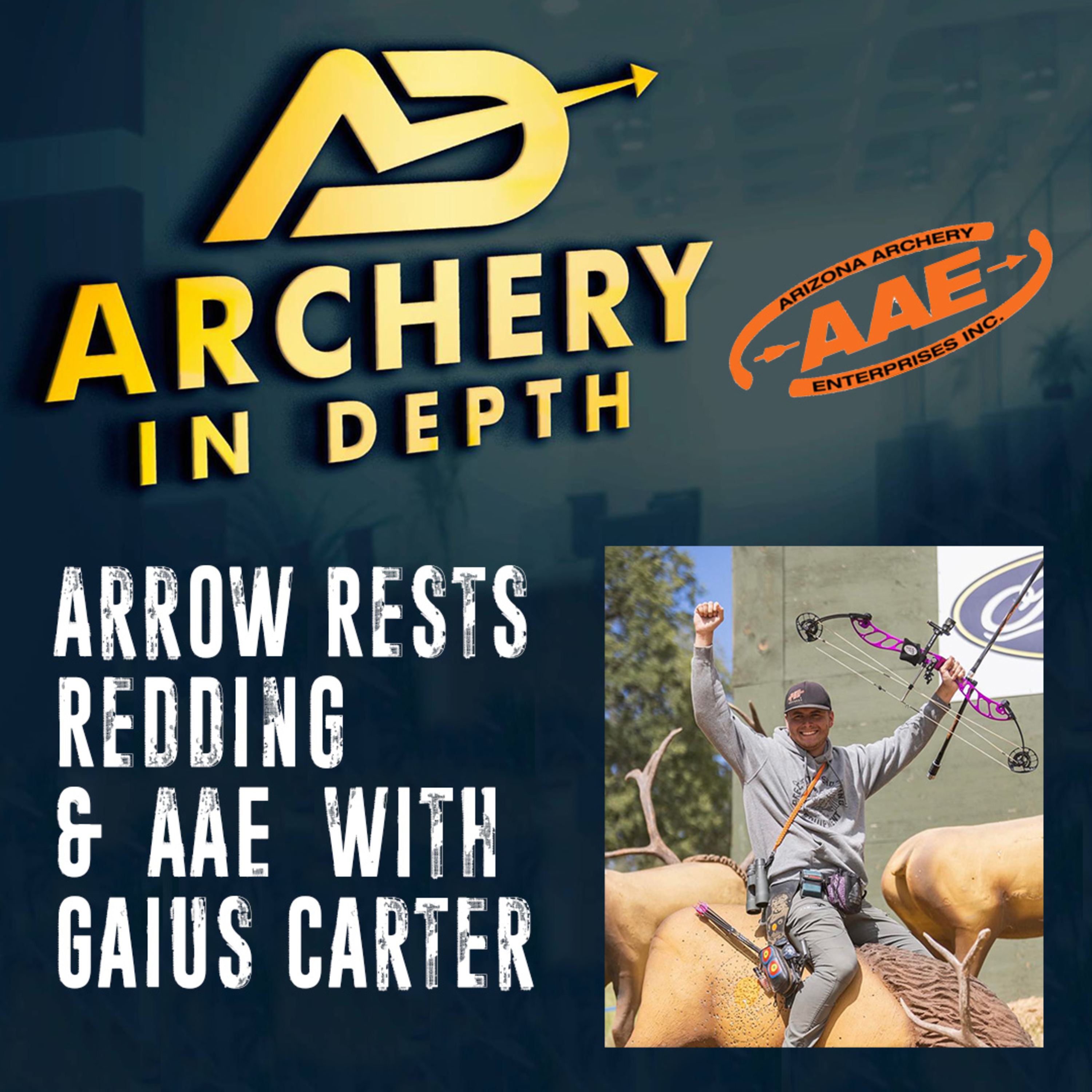 Archery In Depth