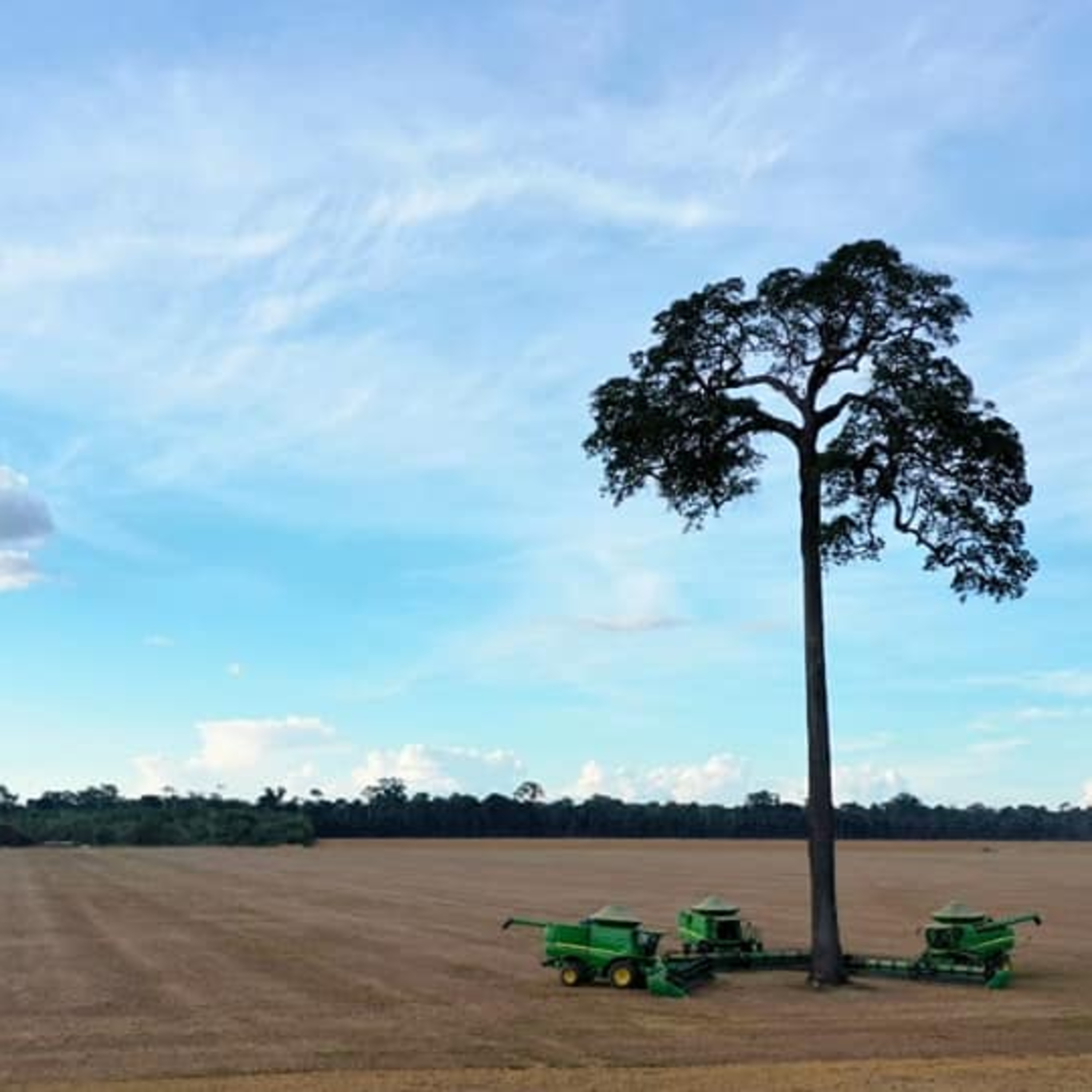 Bioeconomia e Sustentabilidade na Amazônia