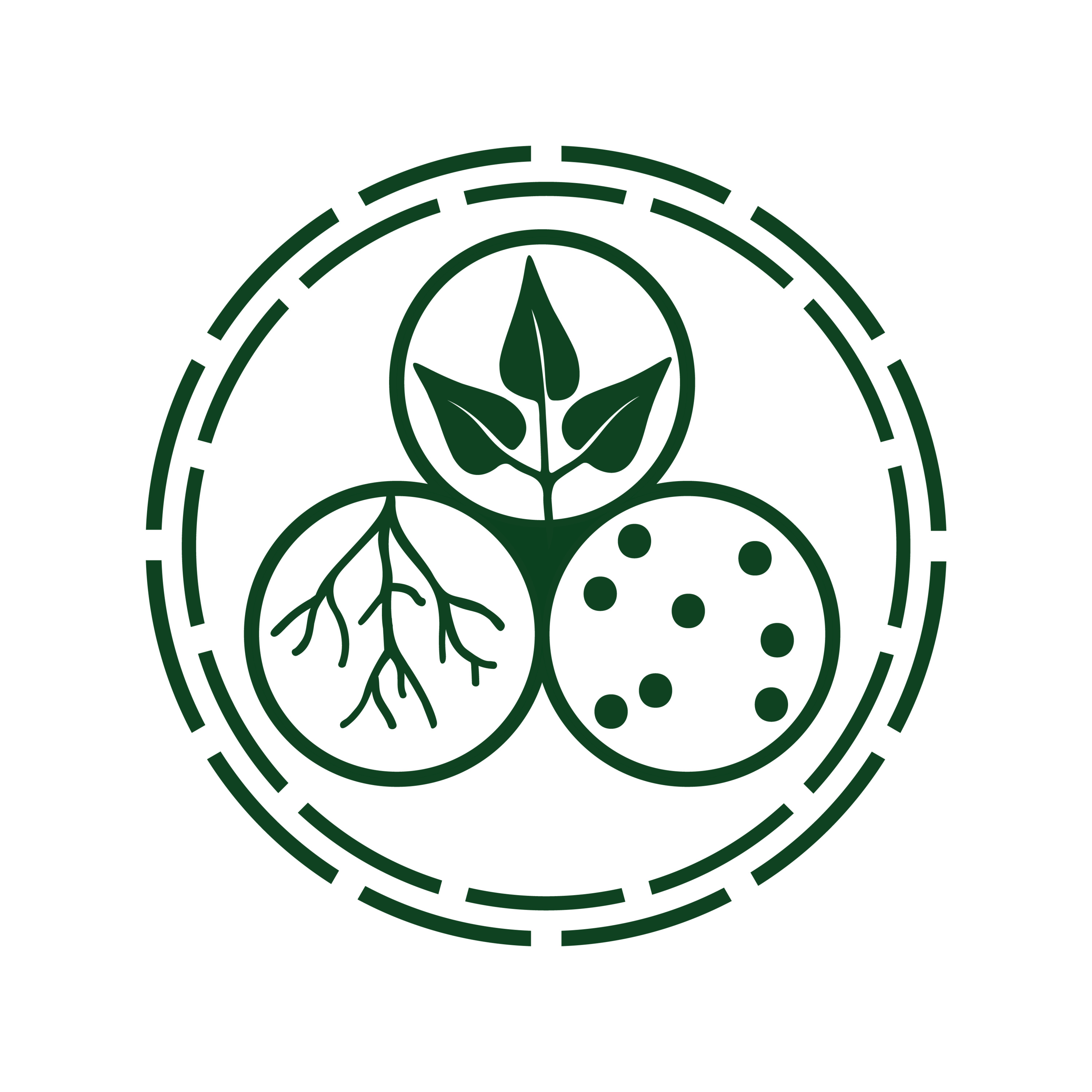 Bioeconomia e Sustentabilidade na Amazônia