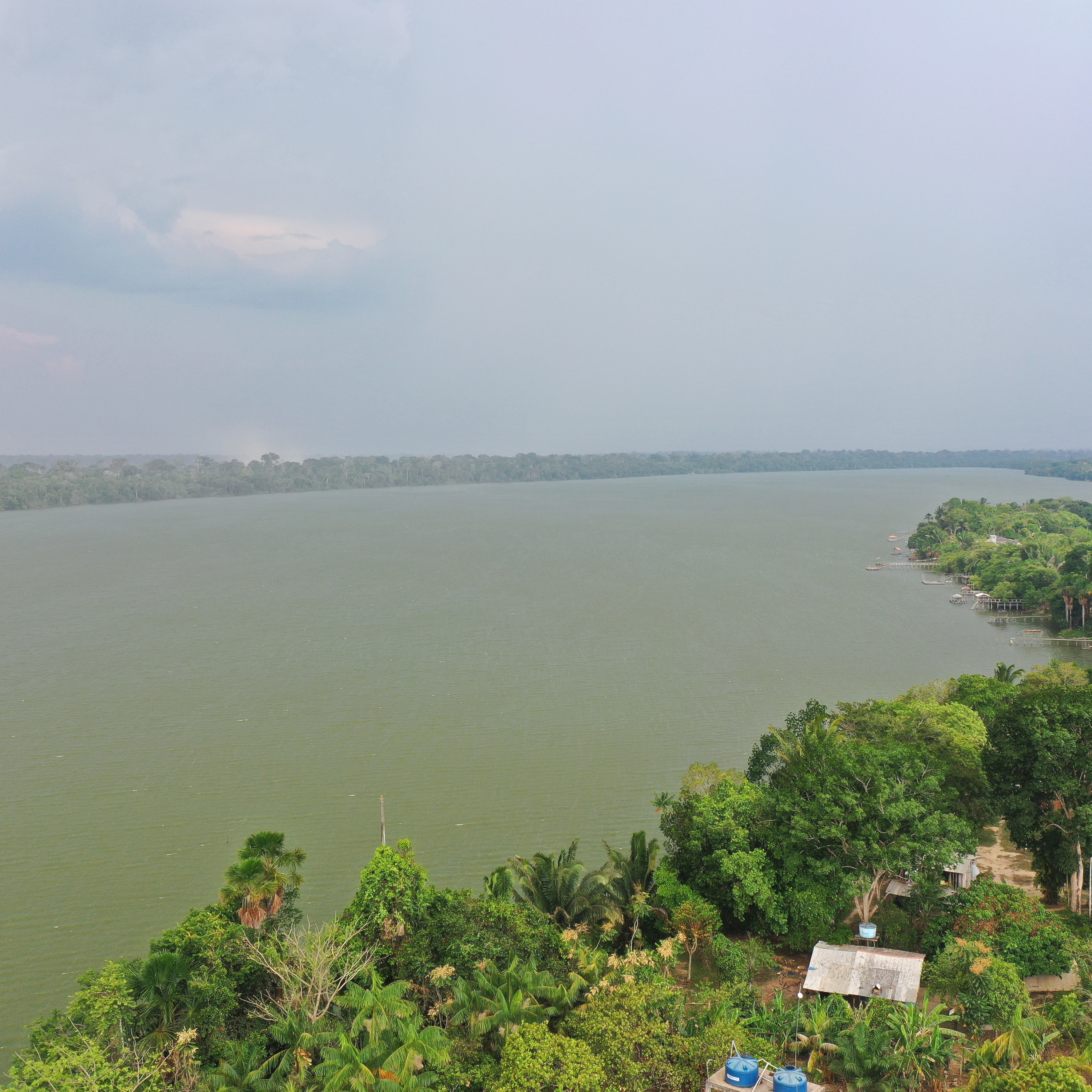 Bioeconomia e Sustentabilidade na Amazônia