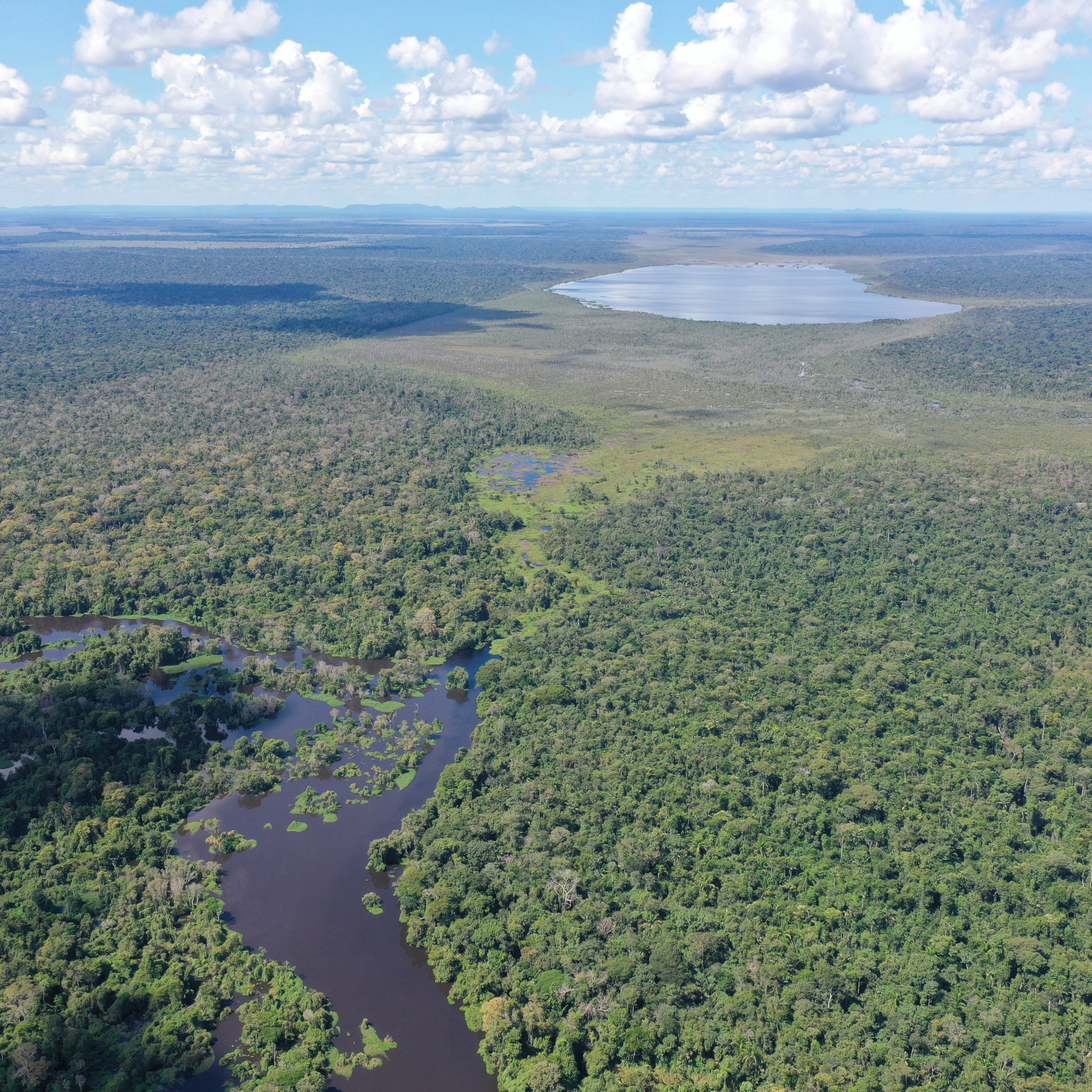 Bioeconomia e Sustentabilidade na Amazônia