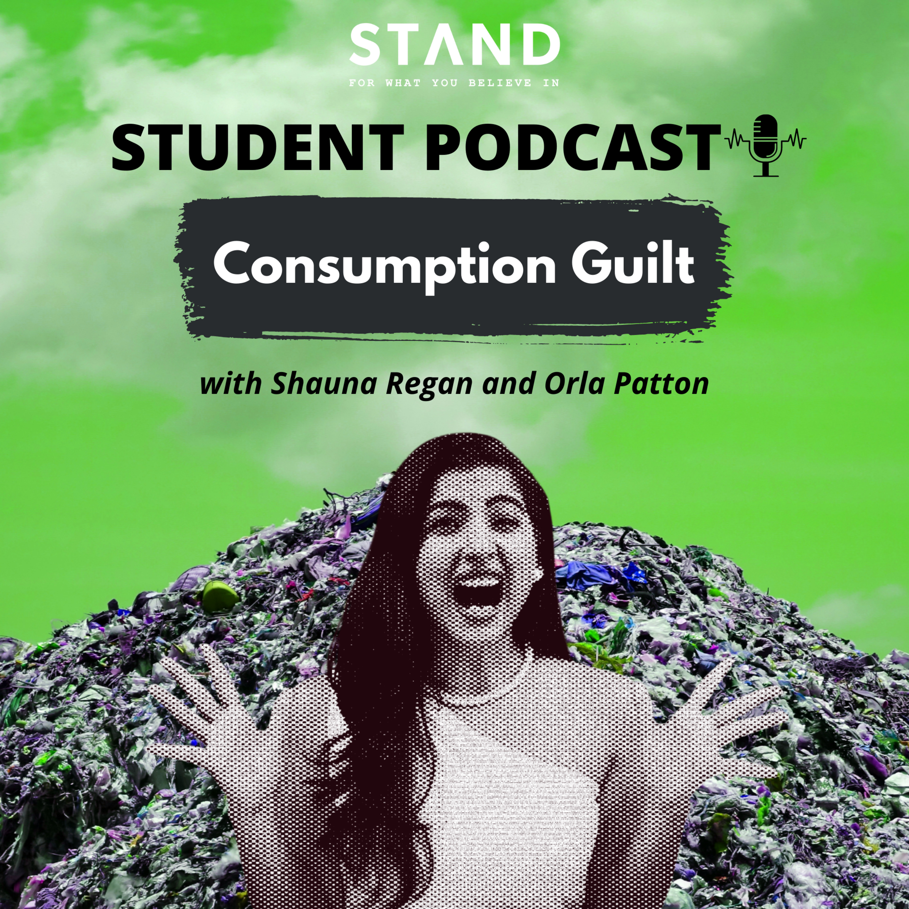 Episode 9: Consumption Guilt episode artwork