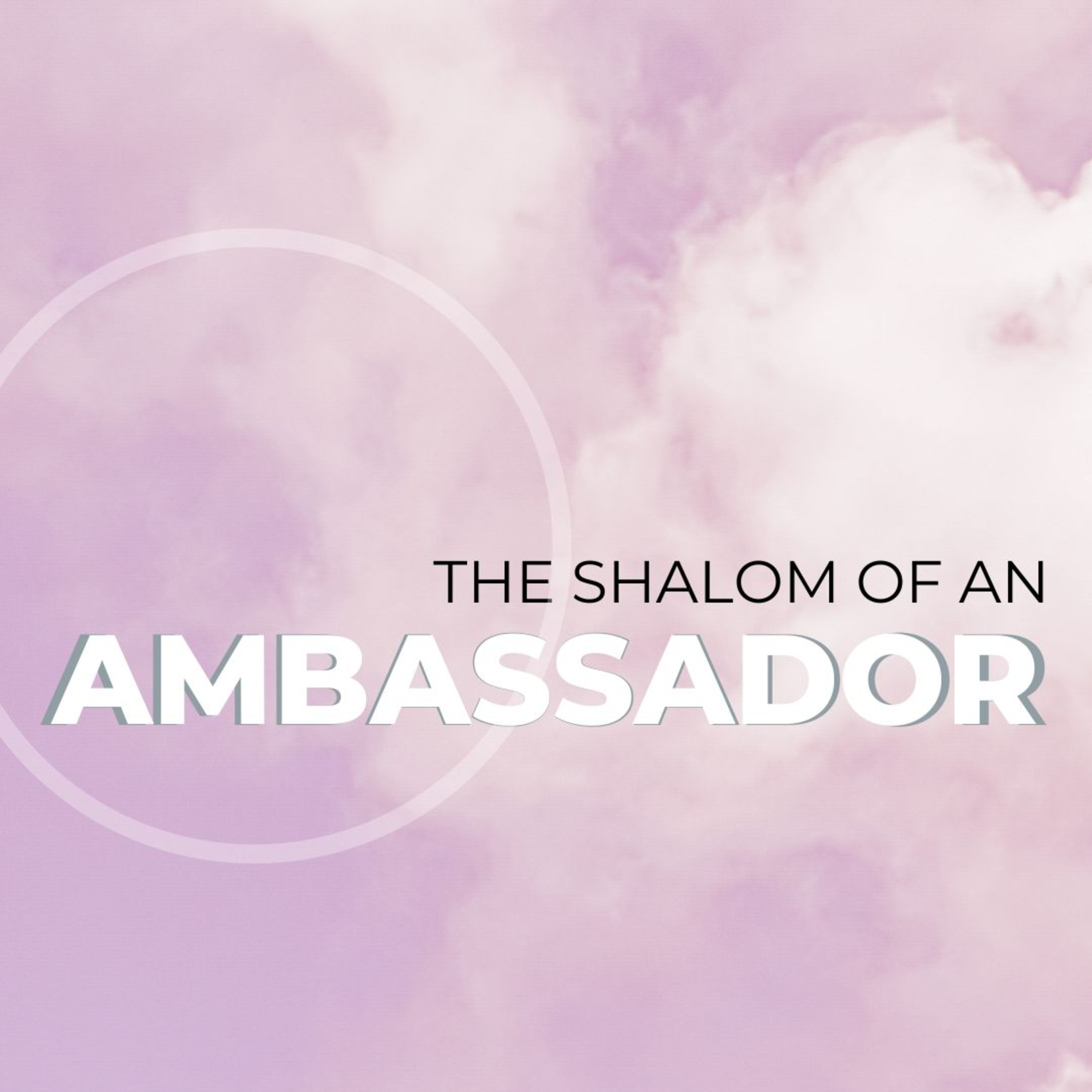 The Shalom of an Ambassador