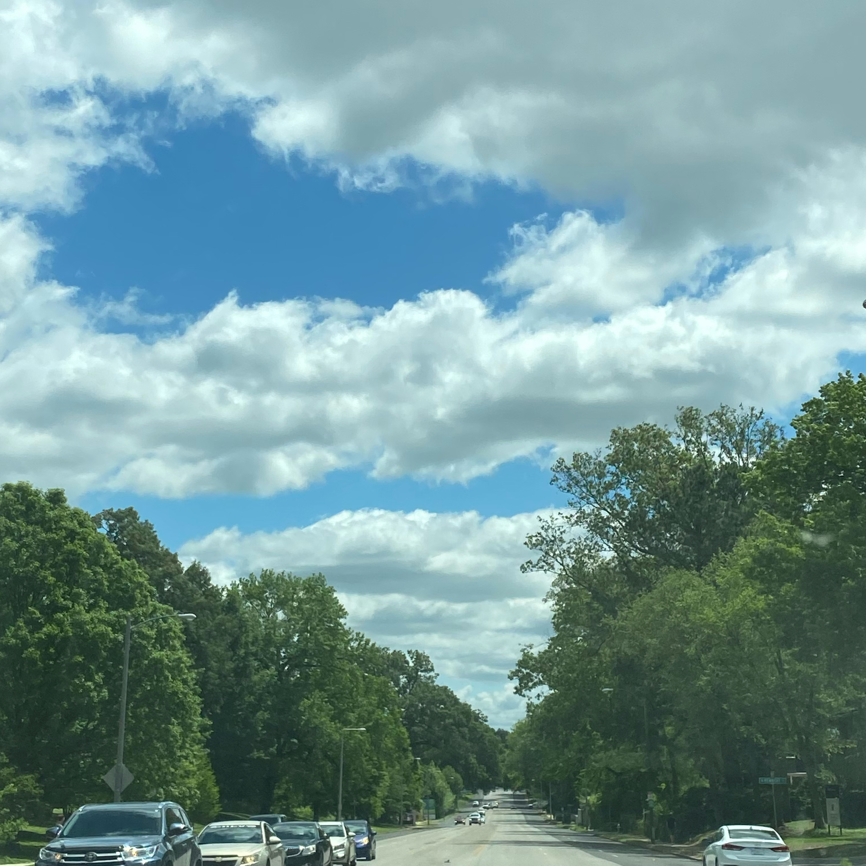 Coy yet smart, Pisces May 2020