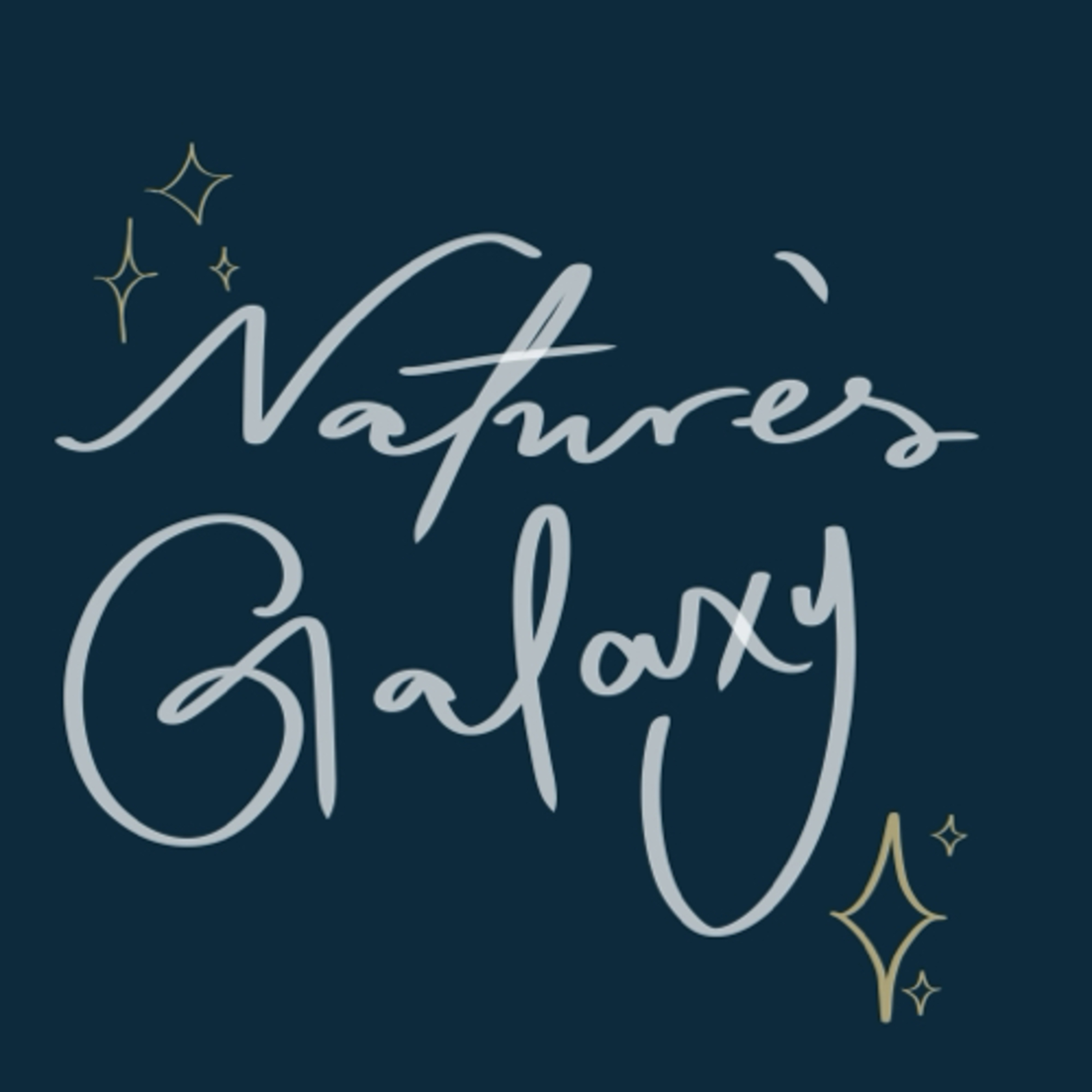Echoed Color, Sagittarius June 2024 tarot 