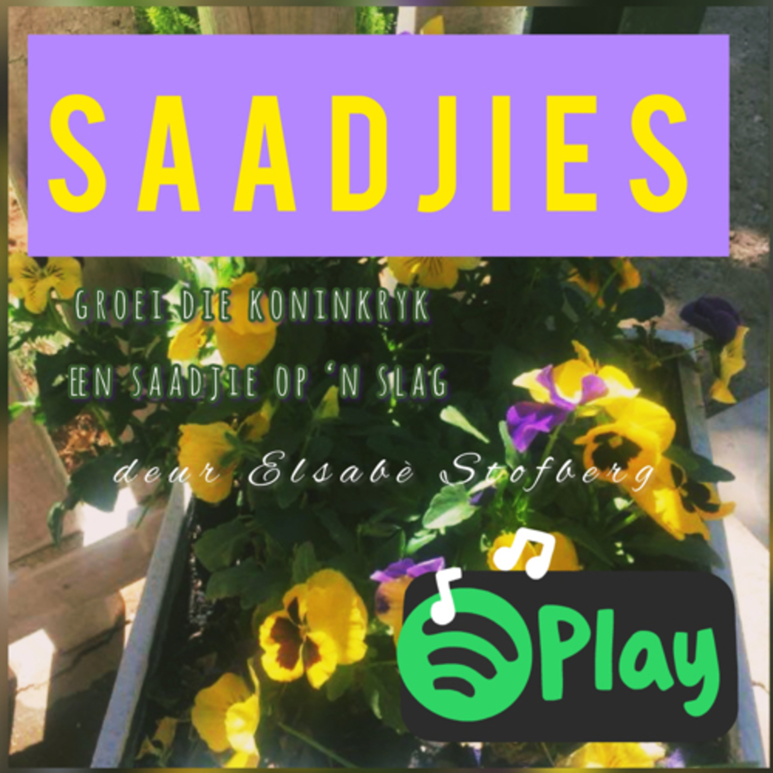 Elsabé Stofberg: Saadjies