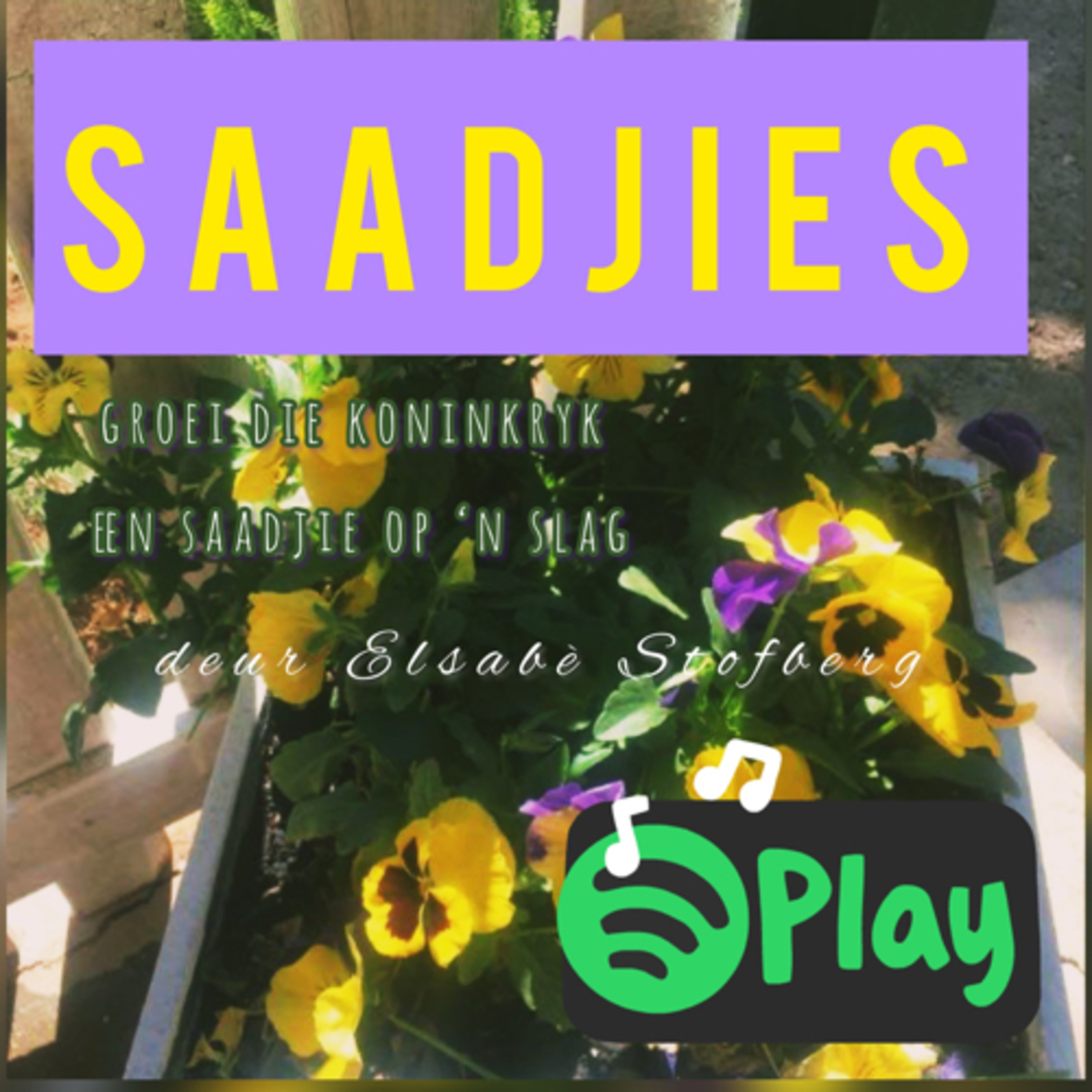 Elsabé Stofberg: Saadjies